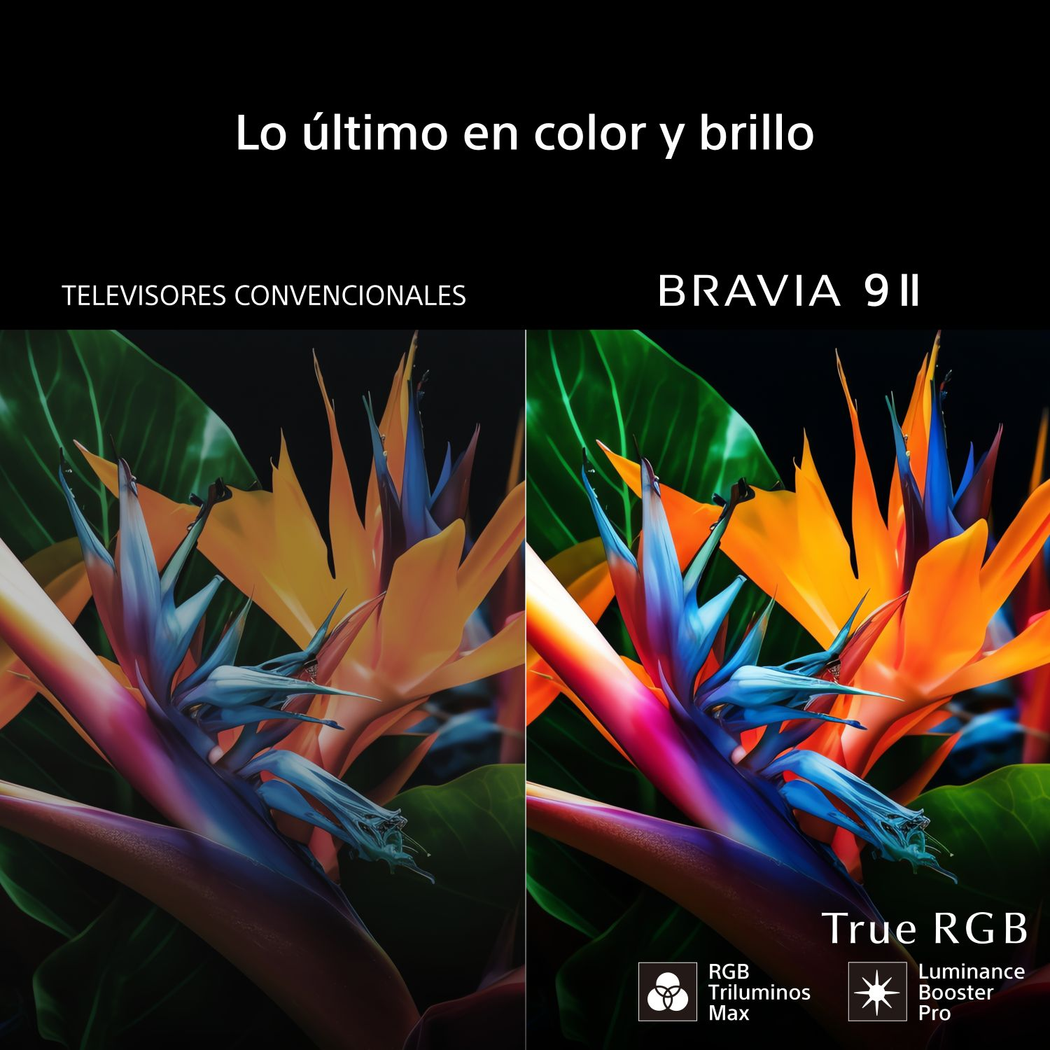 Lo último en color con BRAVIA 9 II True RGB con RGB Triluminos Max y Luminance Booster Pro.