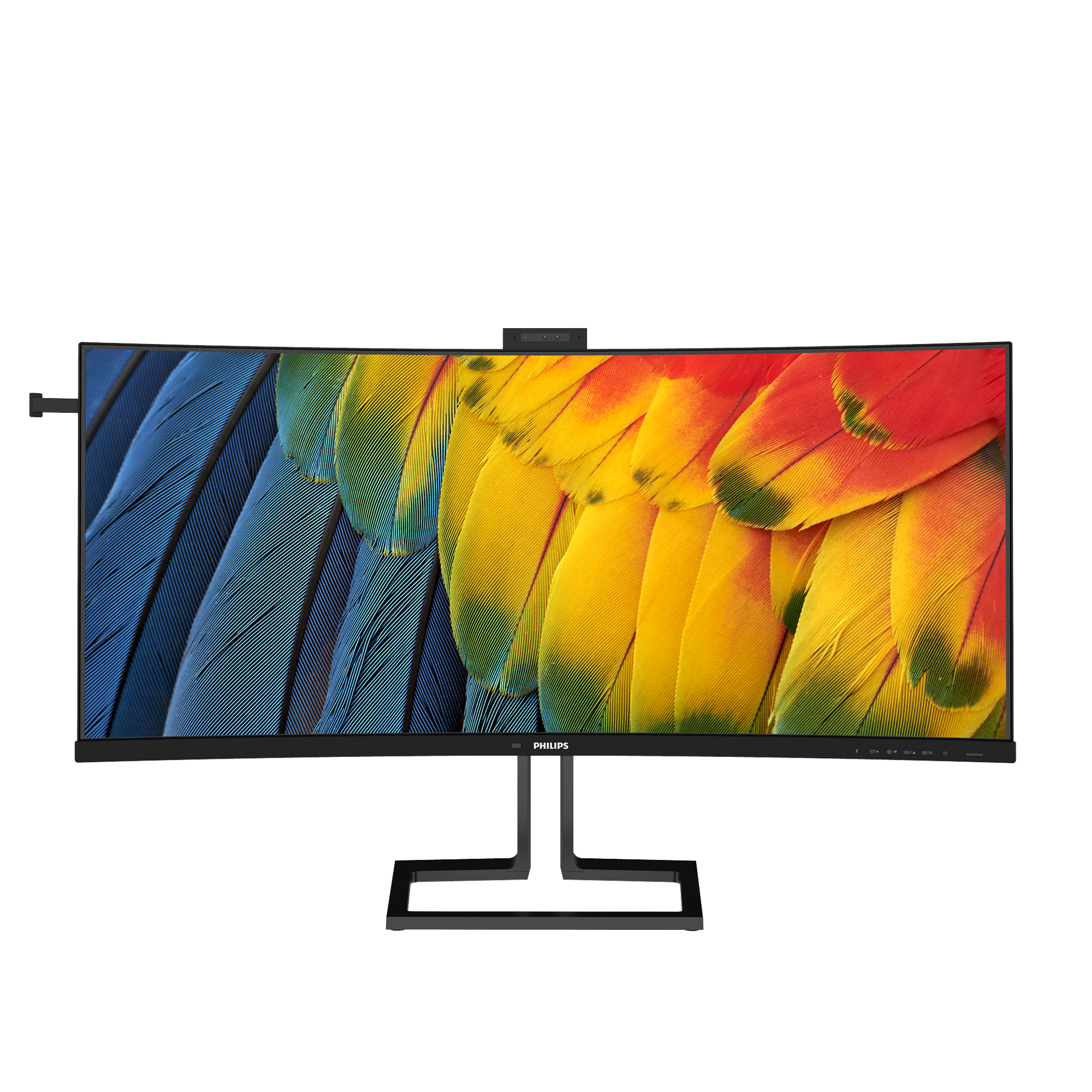 Un monitor curvo con imagen de plumas coloridas y una webcam.