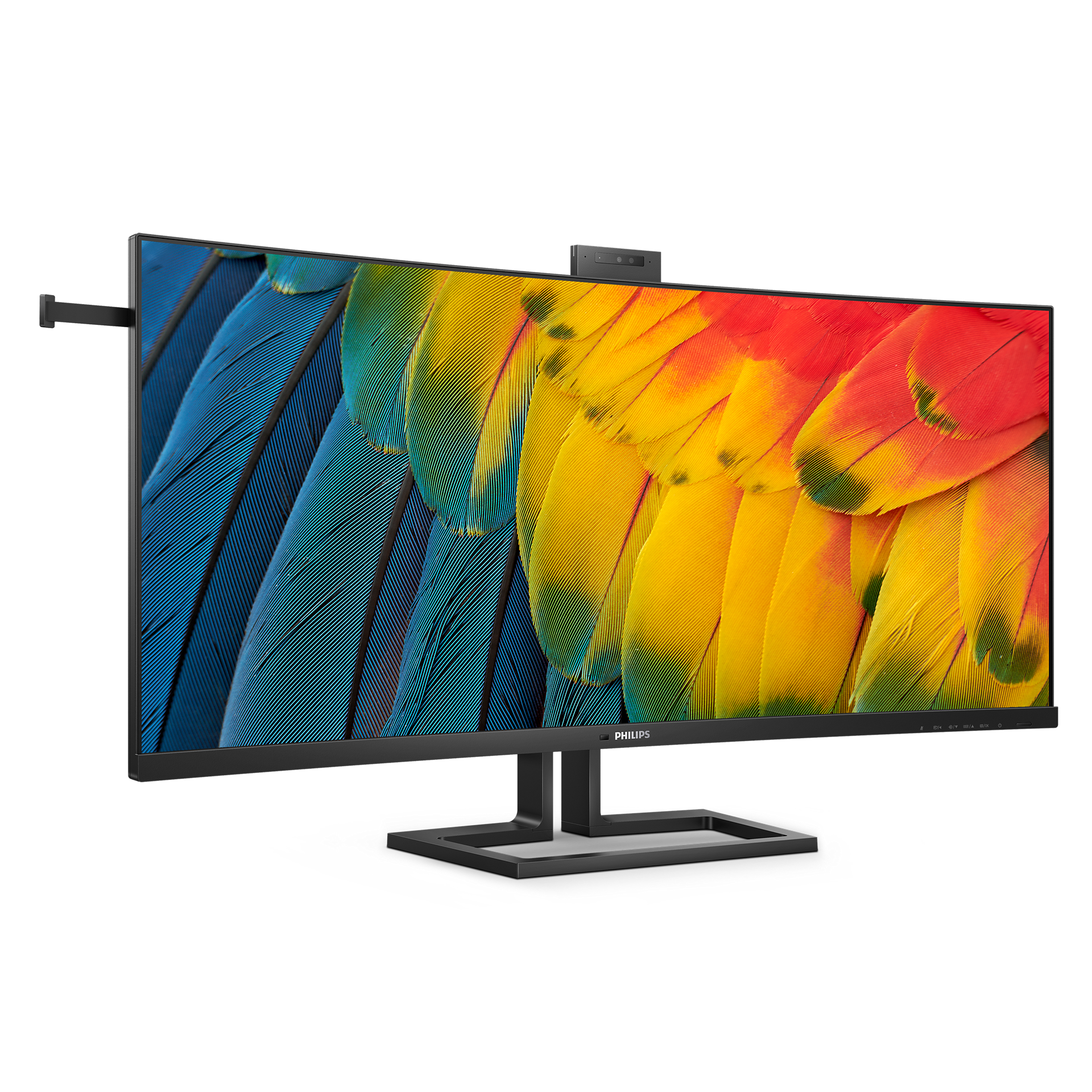 Un monitor Philips muestra vibrantes plumas de loro en primer plano en azul, amarillo y rojo.