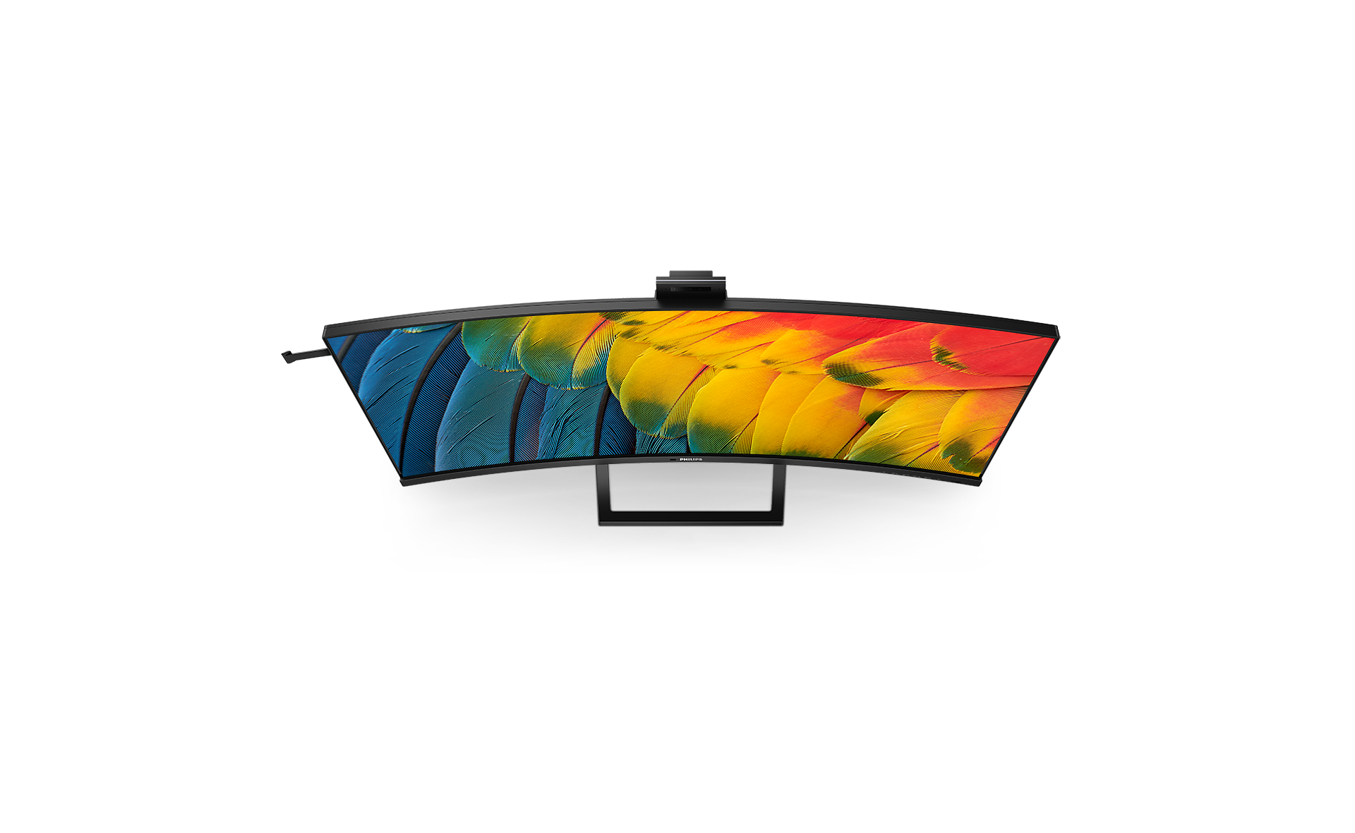 Monitor curvo Philips muestra plumas coloridas de loro: azul, verde, amarillo y rojo.