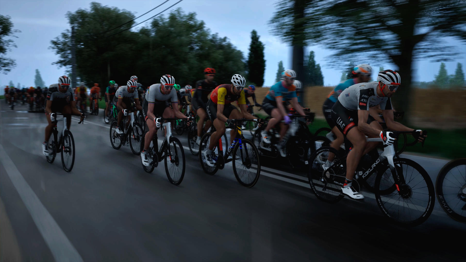 Radsportler in voller Fahrt auf nasser Straße, Bäume am Straßenrand.