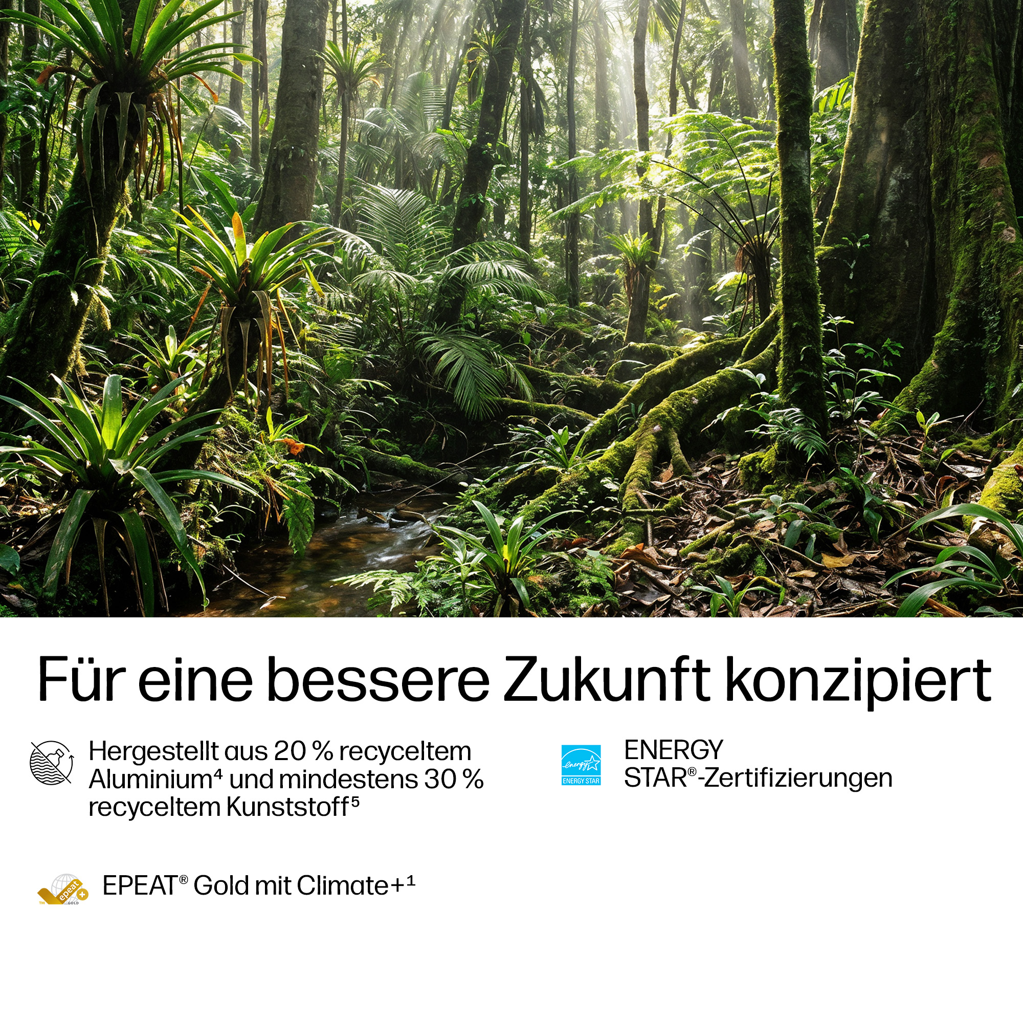 Sonnenstrahlen durchdringen einen üppigen, grünen Regenwald mit Moos bedeckten Bäumen.