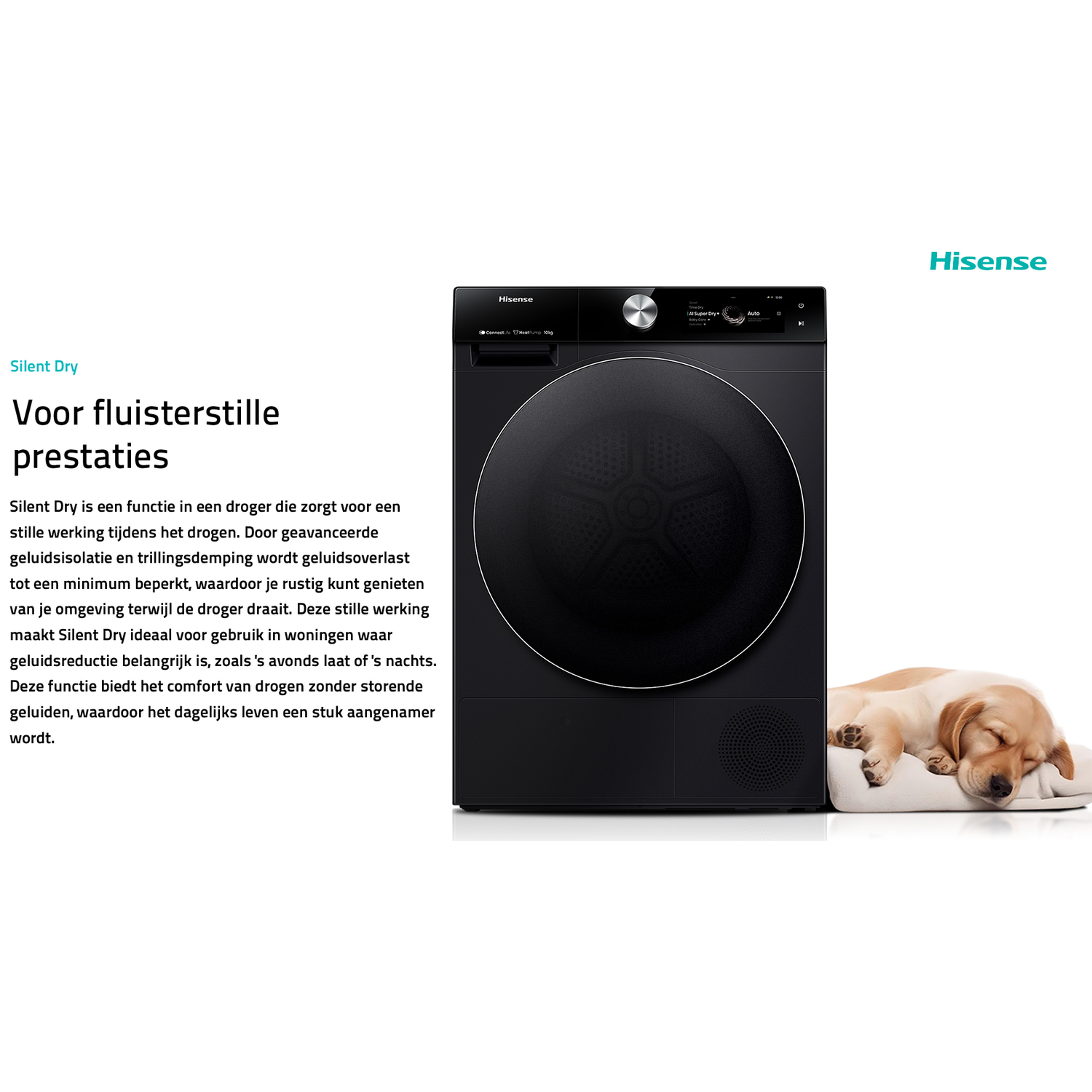 Een zwarte Hisense droger staat naast een slapende puppy op een kussen.