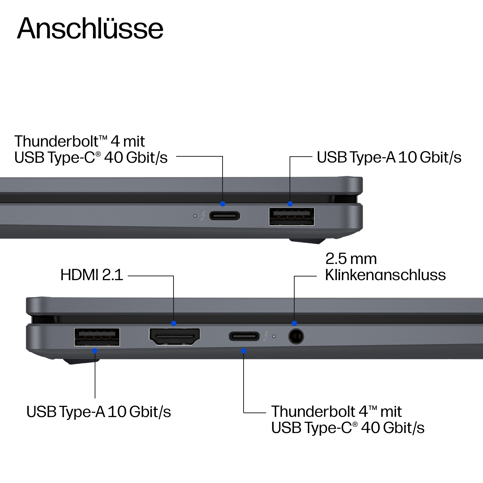 Anschlüsse: Thunderbolt 4, USB-C, USB-A, HDMI 2.1 und 2.5mm Klinke.
