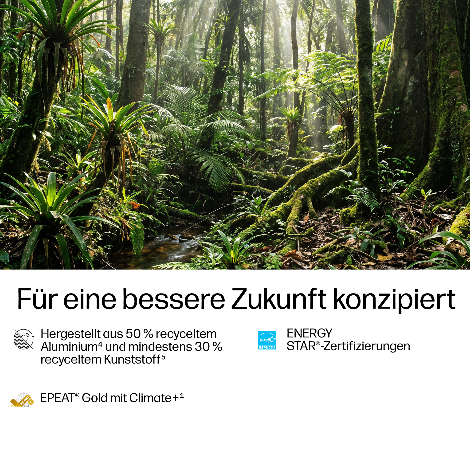 Sonnendurchfluteter Regenwald mit Moos bedeckten Wurzeln und einem Bach.