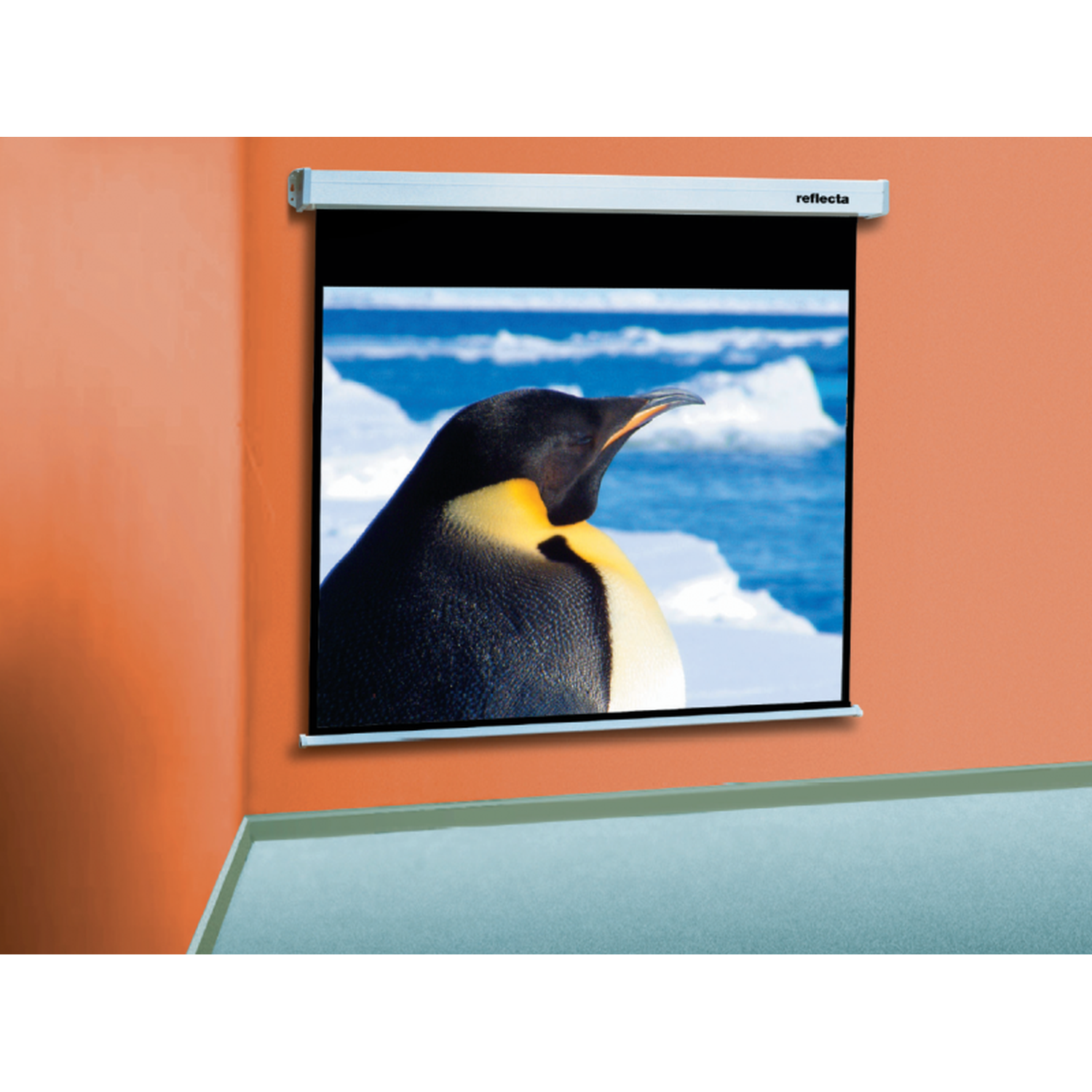 A penguin is projected on a screen against an icy backdrop.