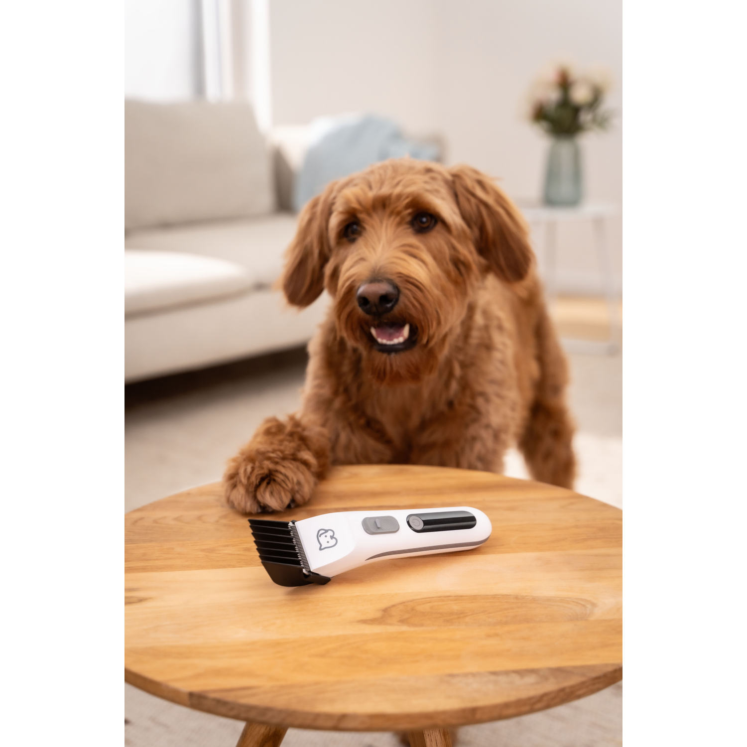 Een hond zit naast een tondeuse op een houten tafel.