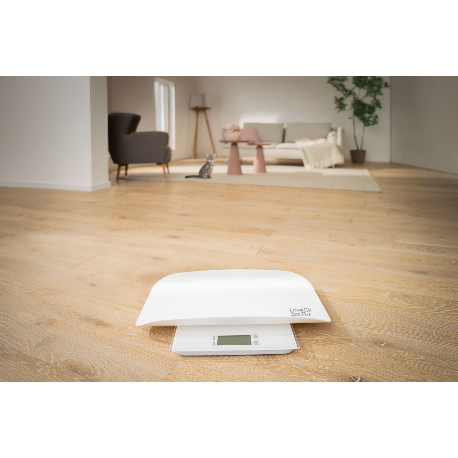 Een witte weegschaal op een houten vloer. Een woonkamer met kat op de achtergrond.