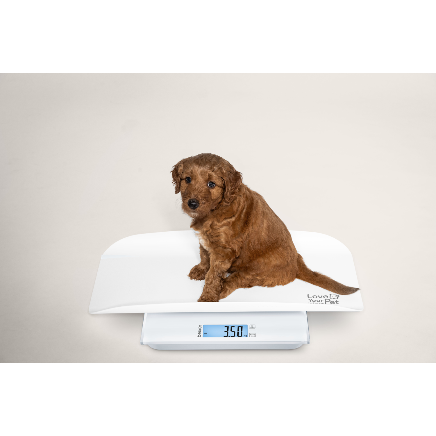 Een bruine puppy zit op een digitale weegschaal die 3,50 kg aangeeft.