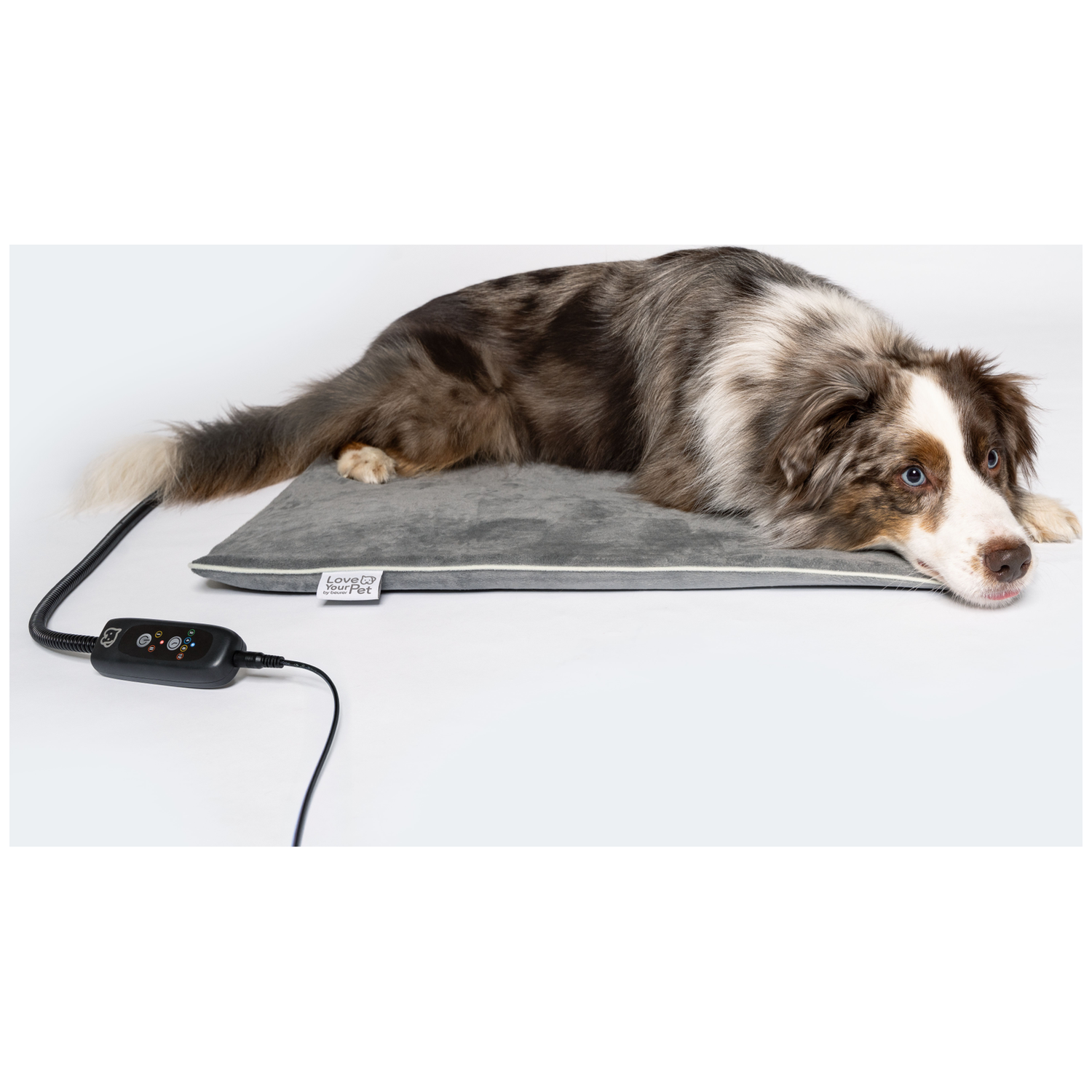 Een hond rust op een grijze verwarmde mat met een zwarte controller.
