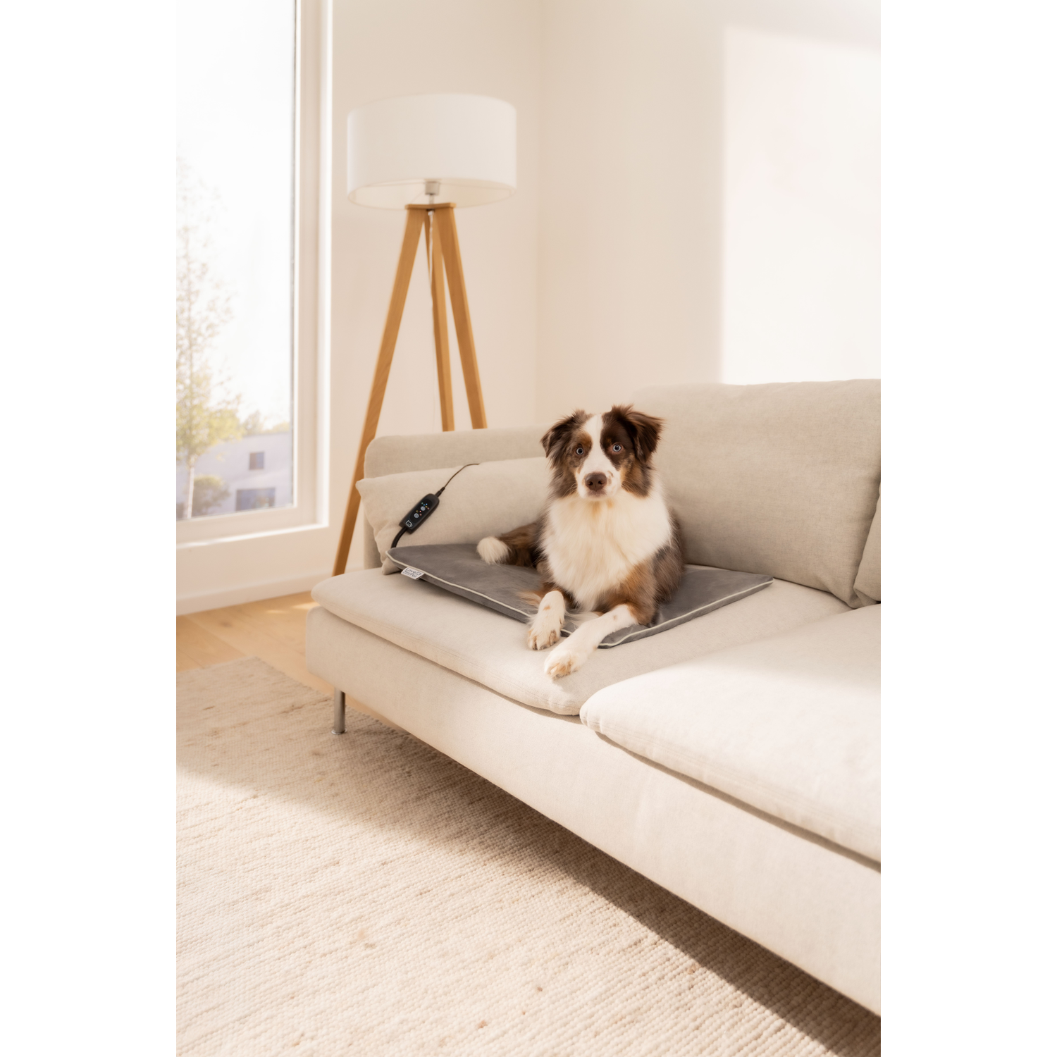 Een hond ligt op een grijze verwarmingsmat op een lichte bank naast een raam.