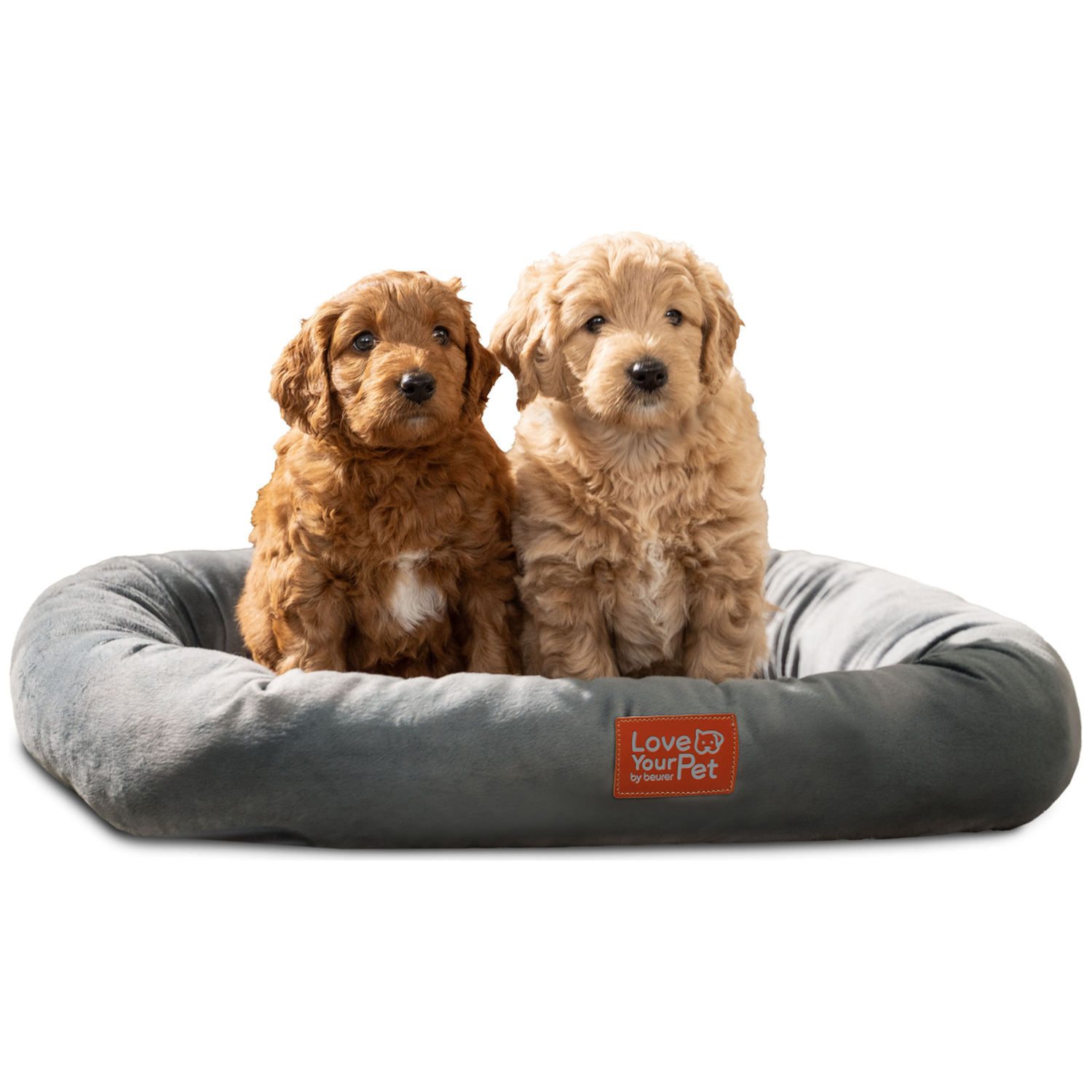 Twee schattige puppy's zitten in een grijs hondenkussen met een oranje label.