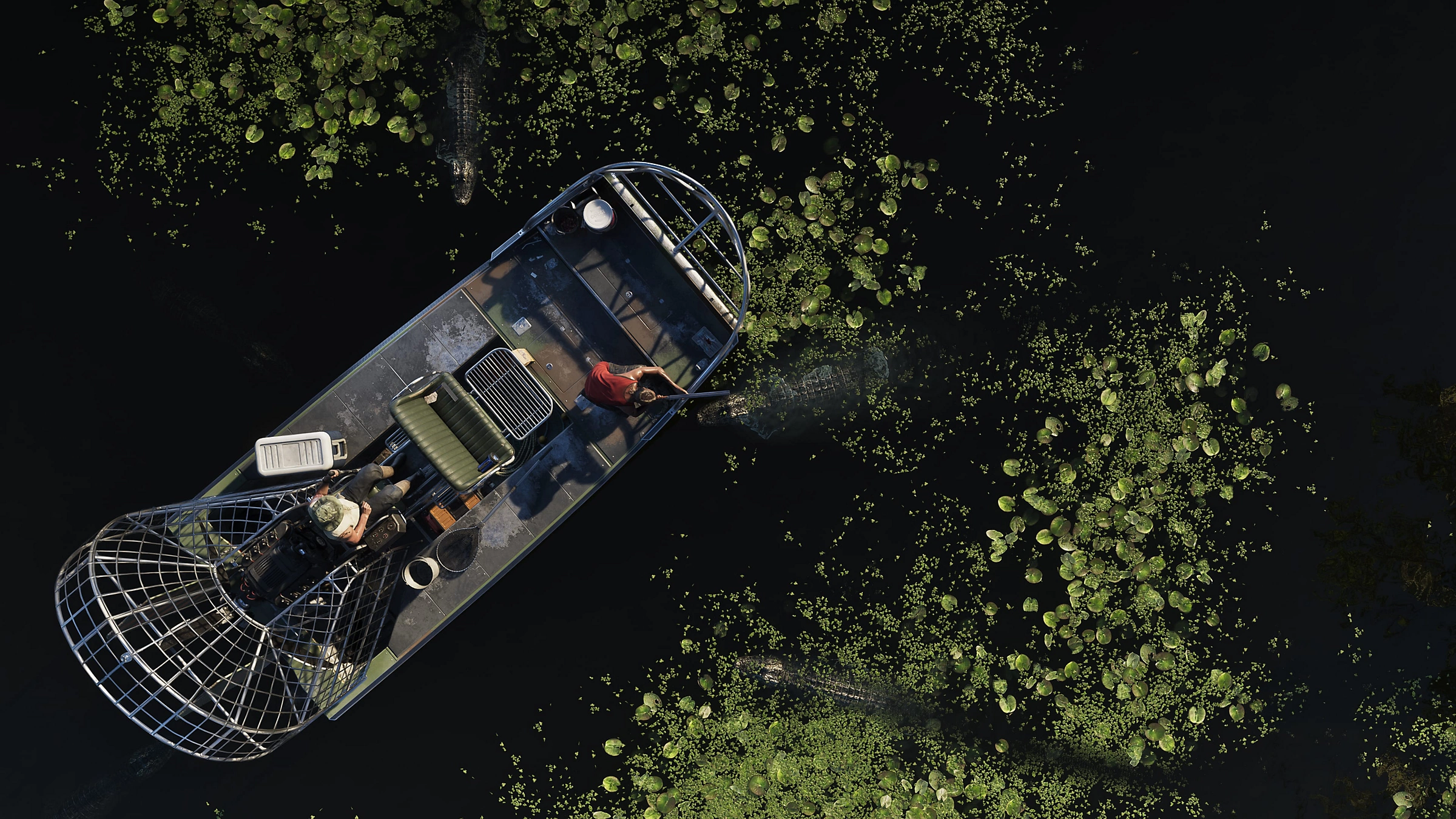 Zwei Personen in einem Luftkissenboot fahren durch Wasser mit Seerosenblättern und passieren zwei Alligatoren.