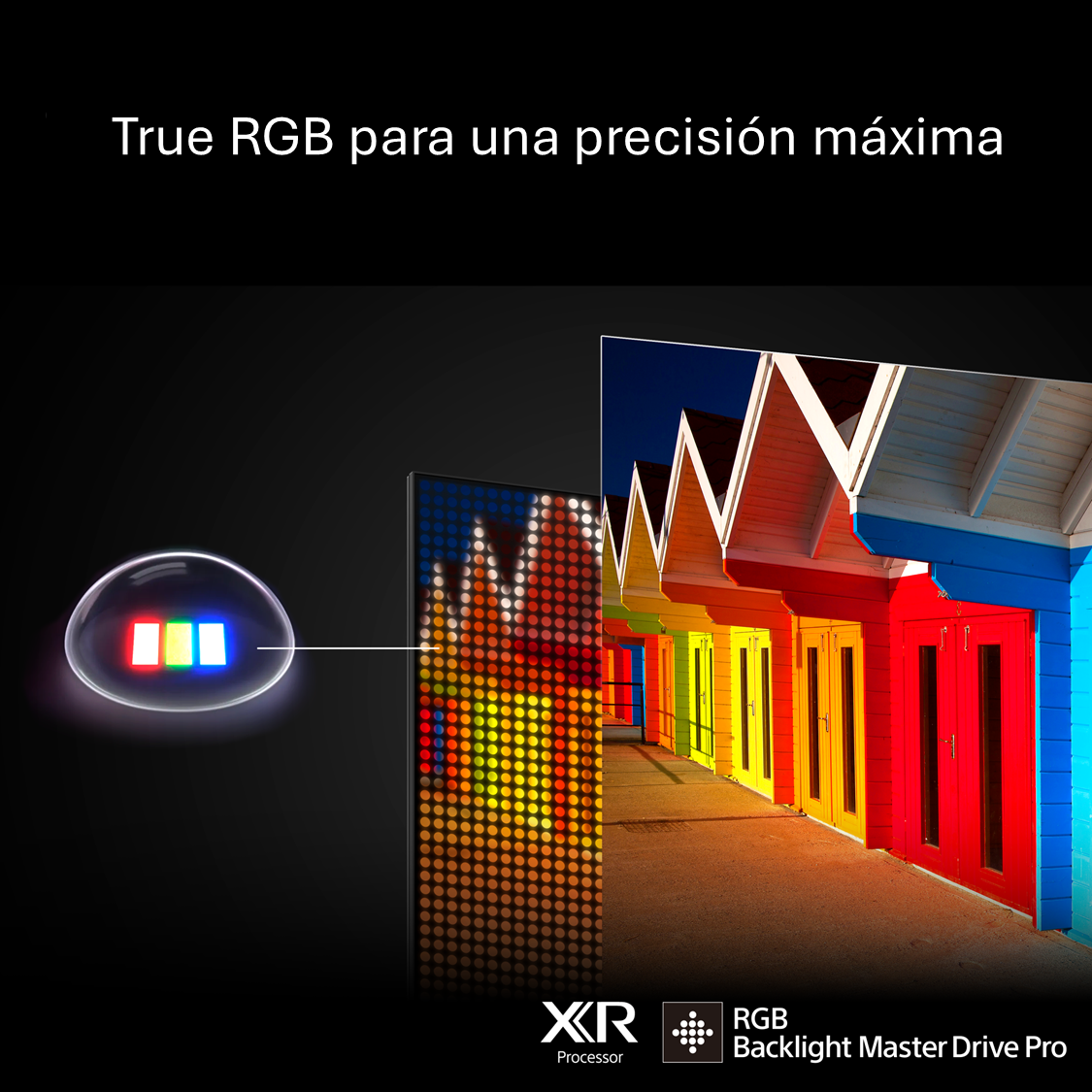 True RGB para una precisión máxima con XR Processor RGB Backlight Master Drive Pro.