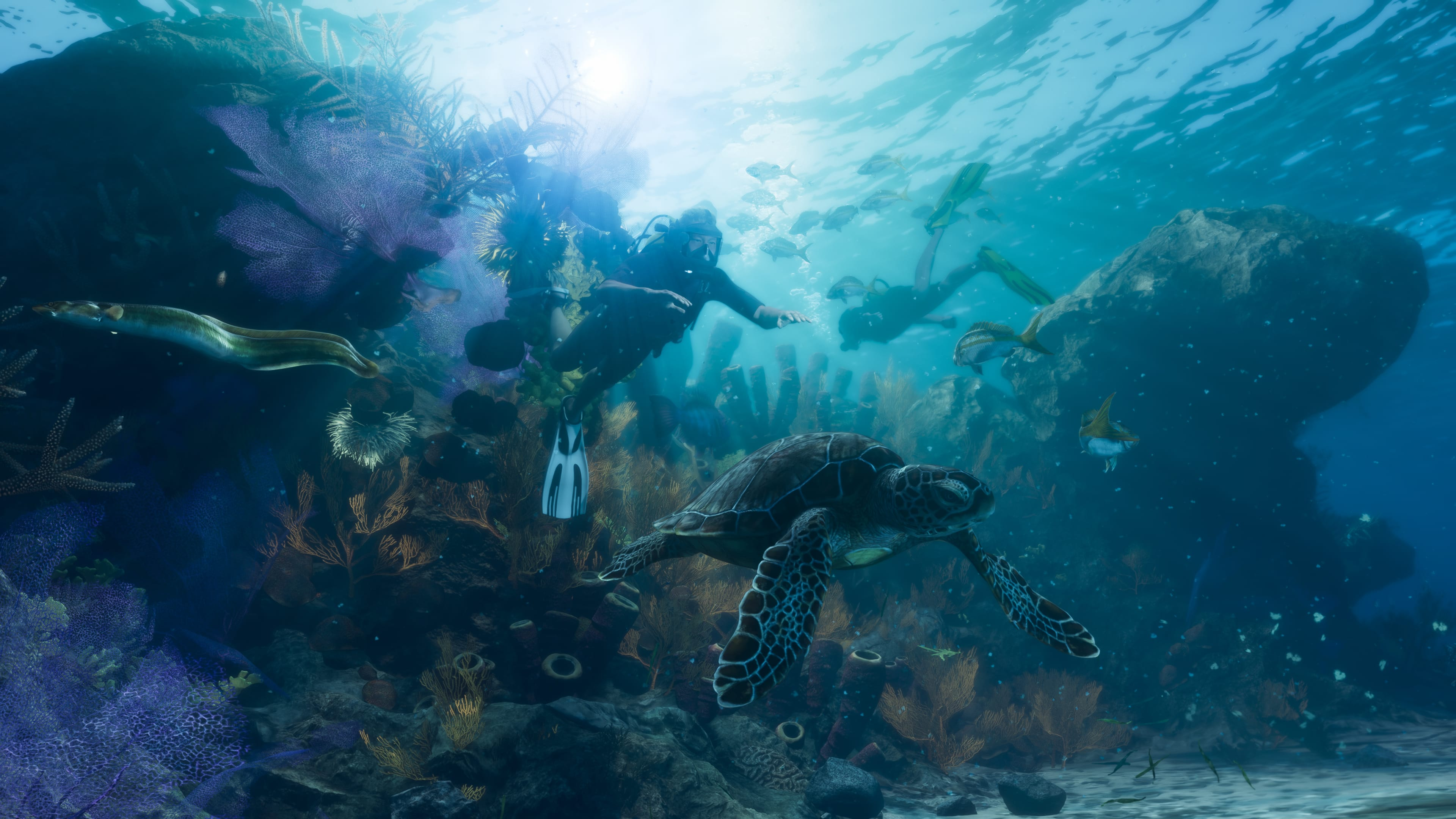 Buceadores exploran un arrecife con tortuga, anguila y peces.