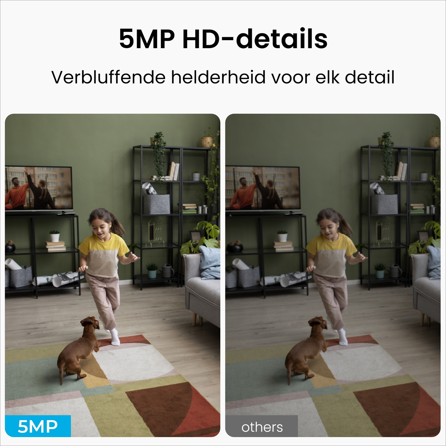 Meisje en hond spelen op een kleed voor tv. 5MP HD vs. anderen.