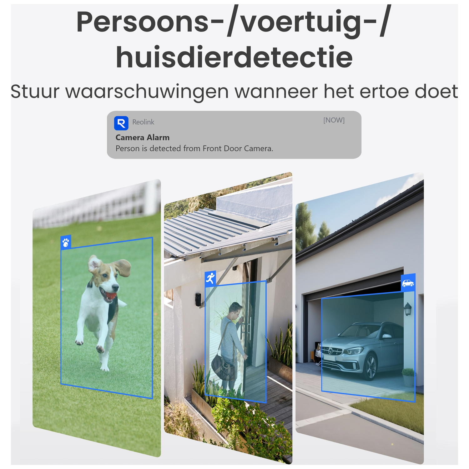 Reolink app toont hond, persoon bij deur, auto in garage.