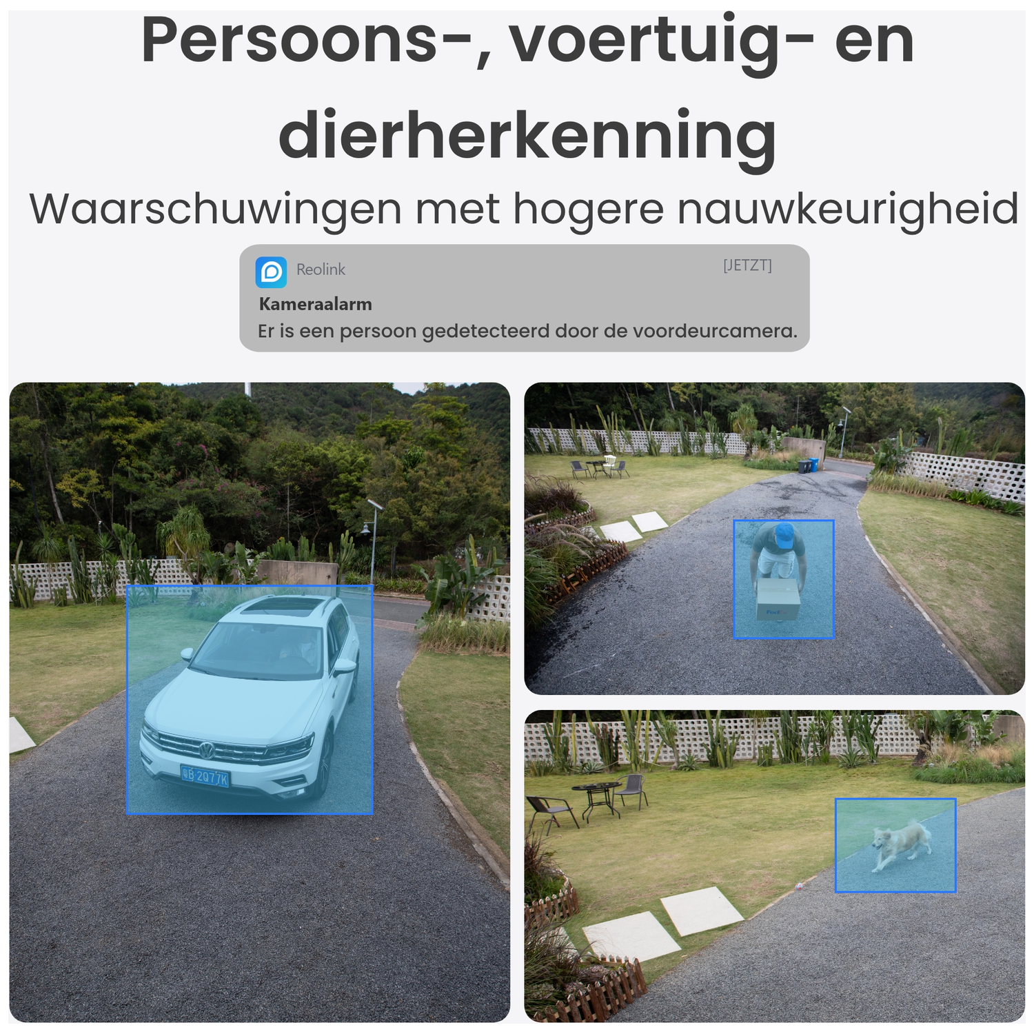 Collage toont AI-detectie: auto, persoon met pakket en hond.