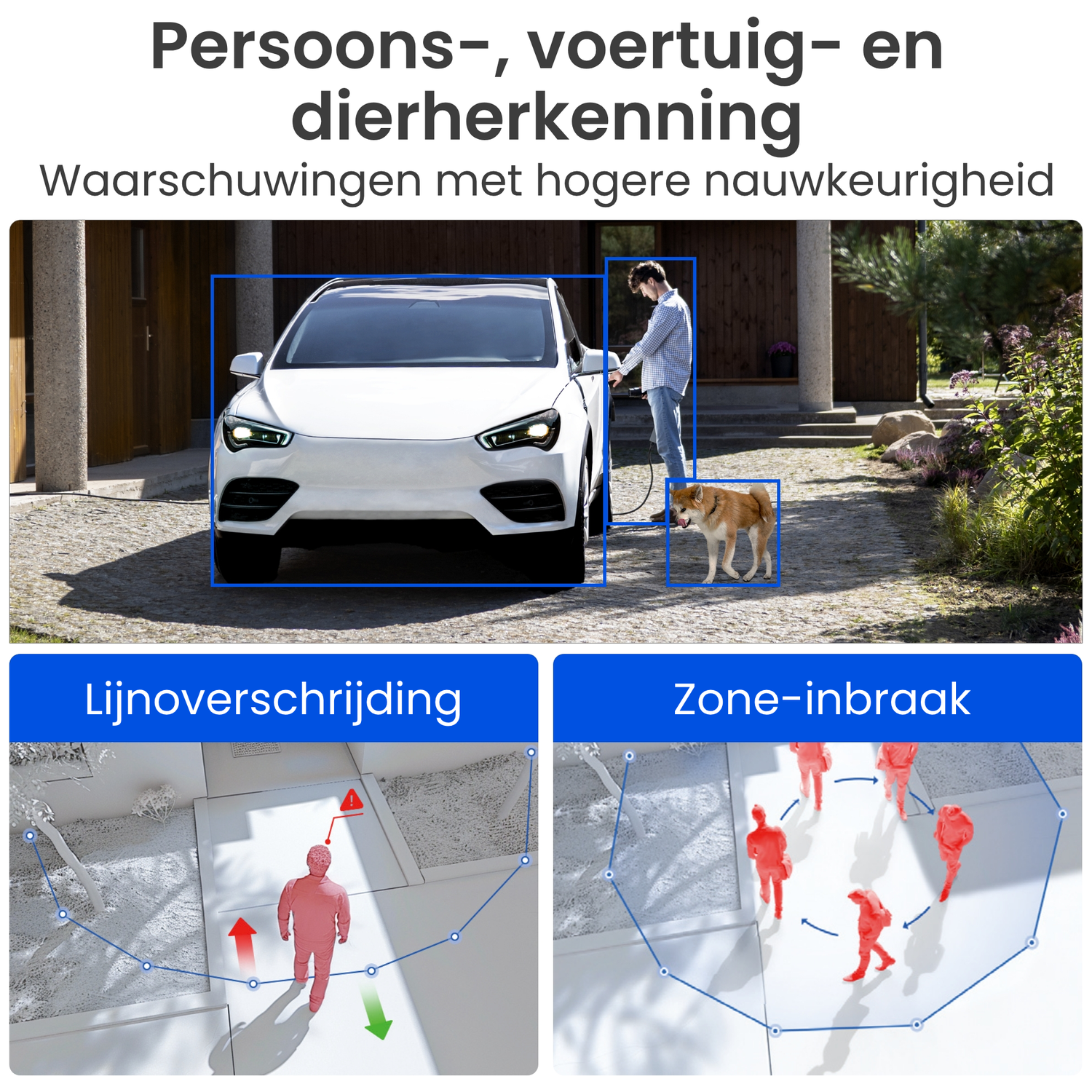 Man laadt auto op, hond in de buurt. Beneden: persoon kruist lijn, zone met mensen.
