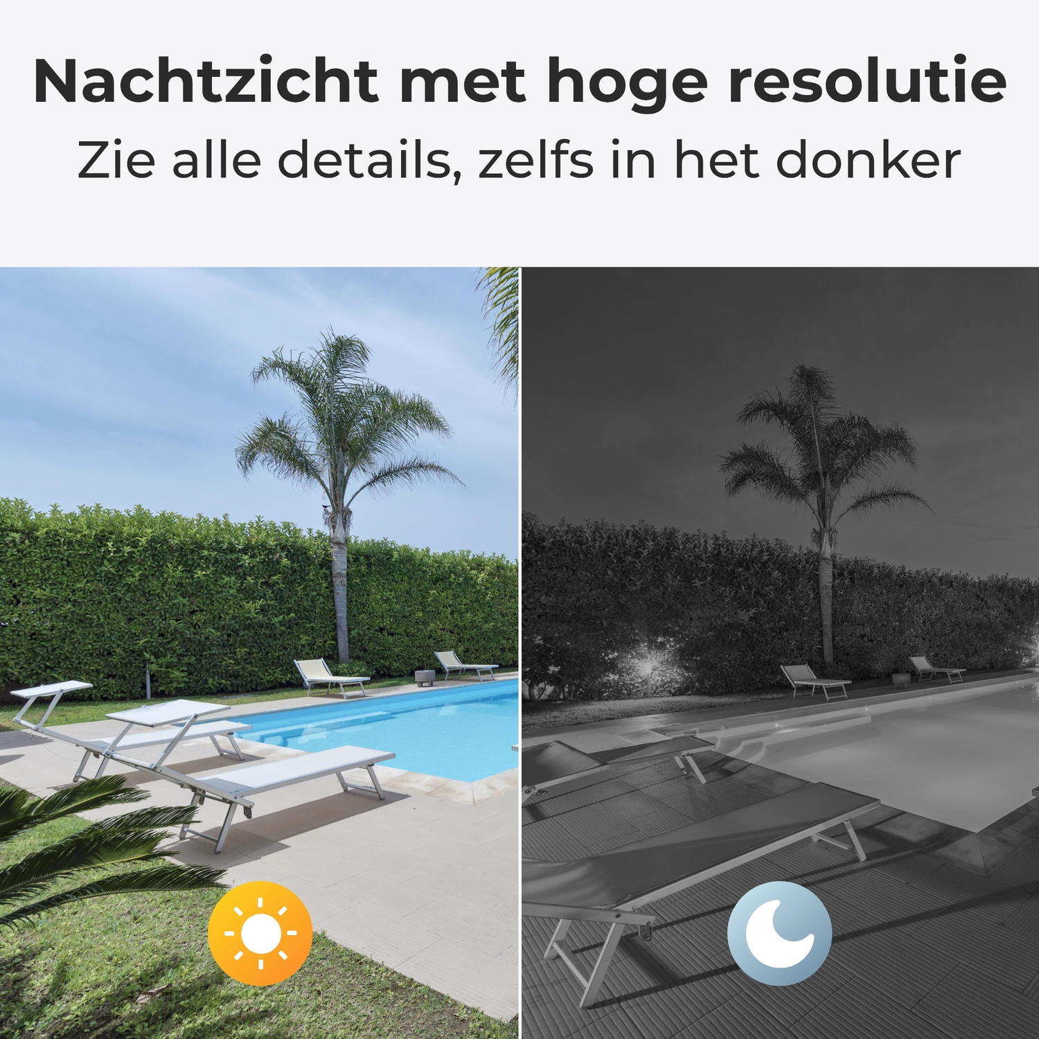 Day and night view of a pool area with lounge chairs and palm trees.