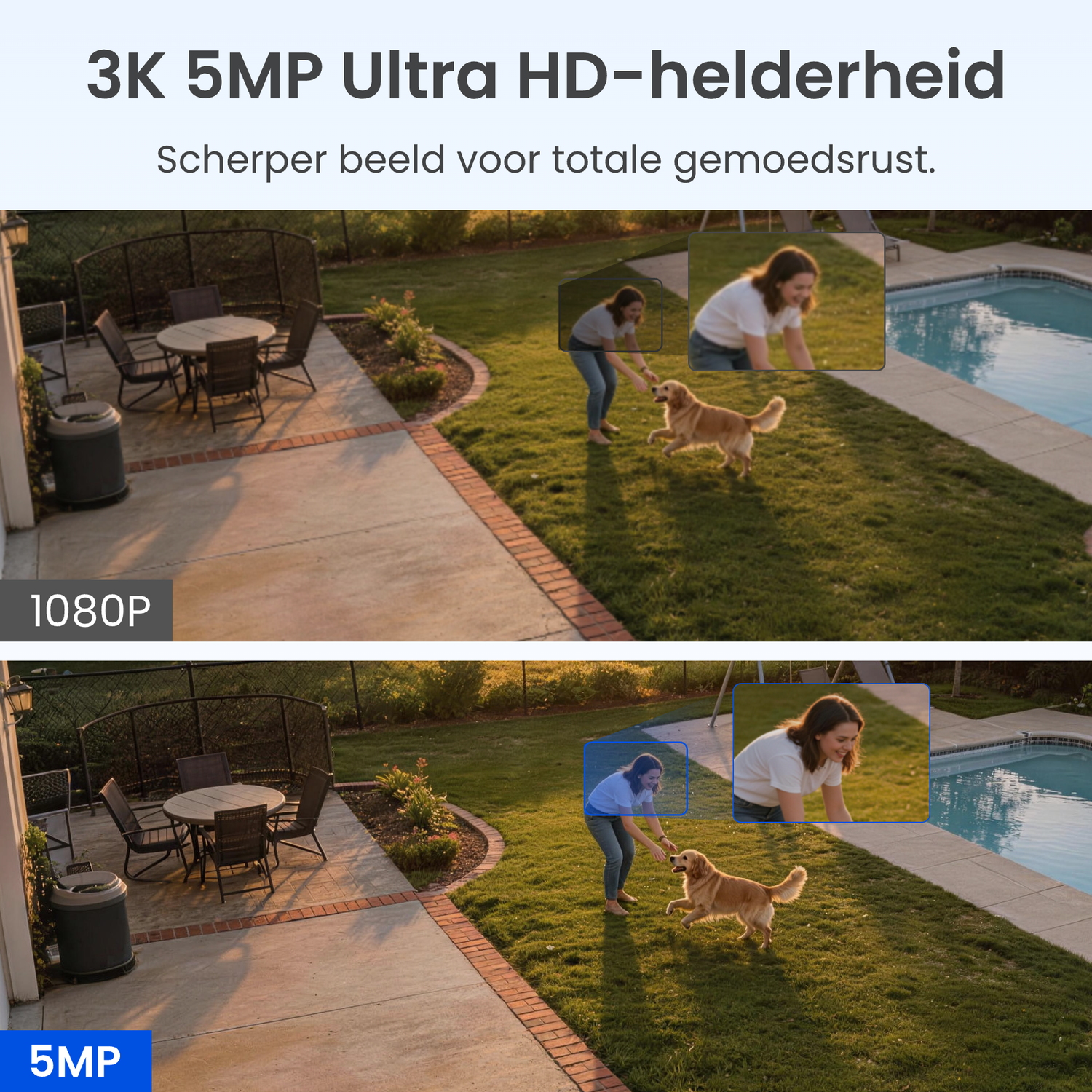 Femme joue avec chien dans jardin près de piscine; vues 1080p et 5MP.