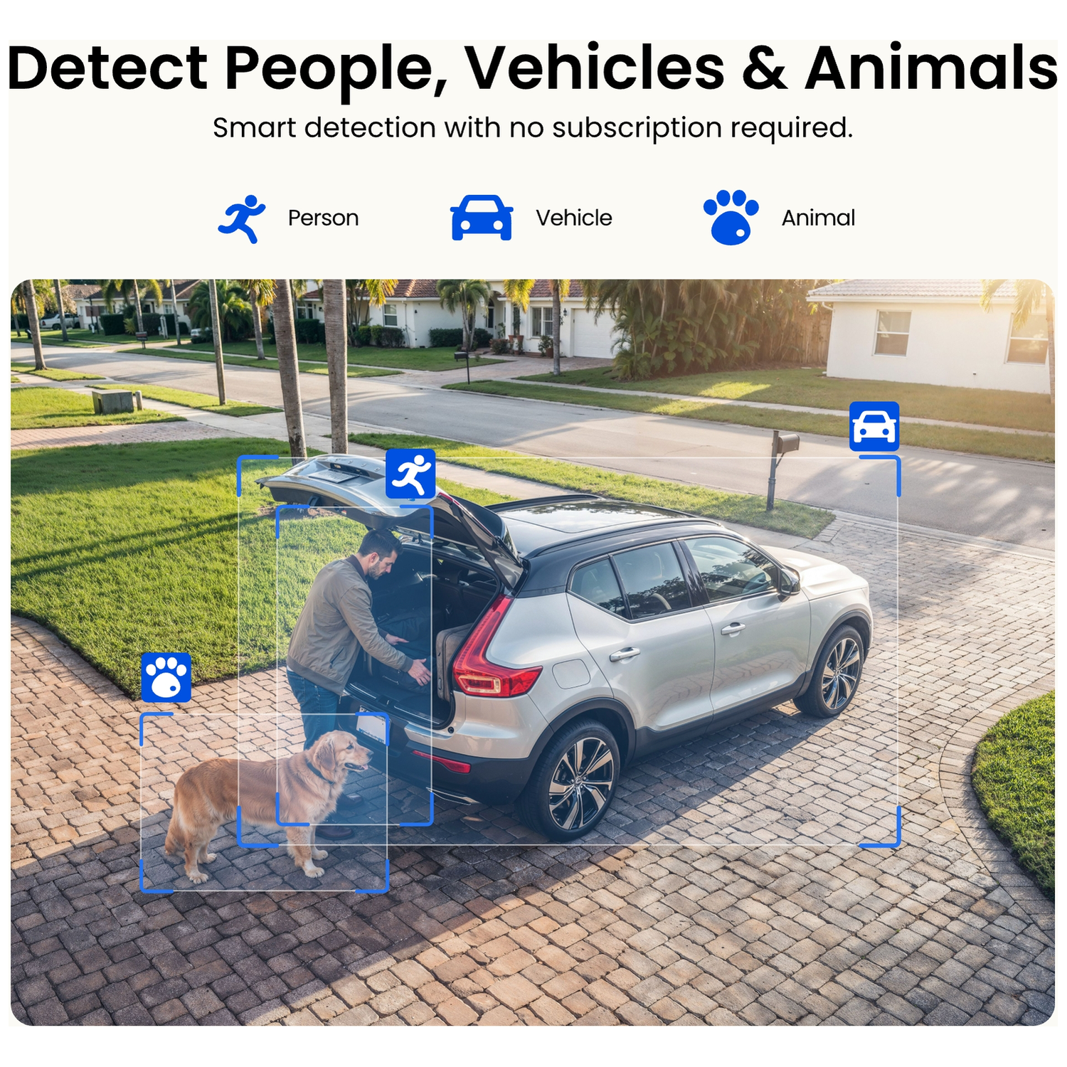 Homme charge des bagages dans une voiture, chien à proximité. Détection intelligente.