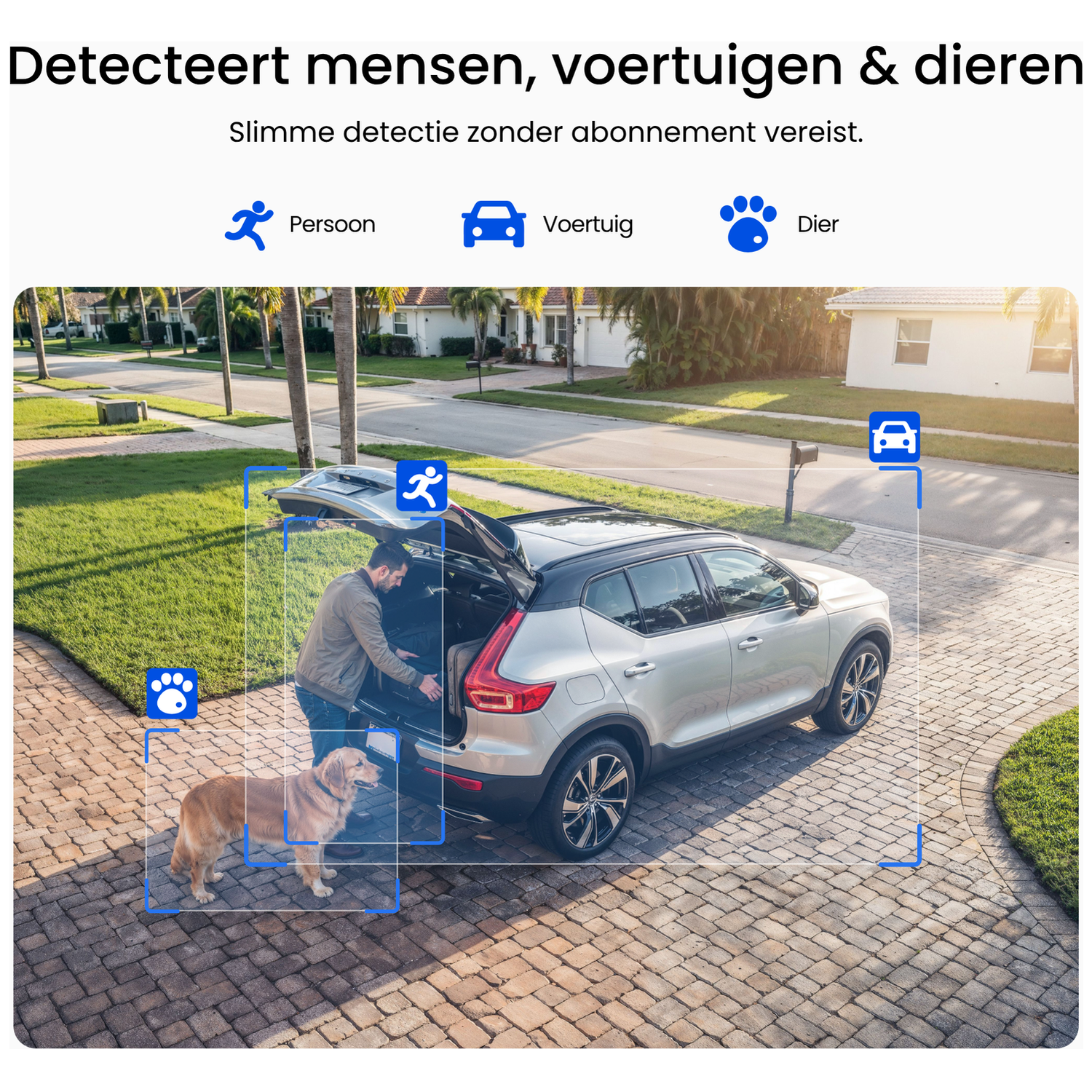Un homme charge des bagages dans une voiture, un chien est à proximité. Maisons et arbres en arrière-plan.
