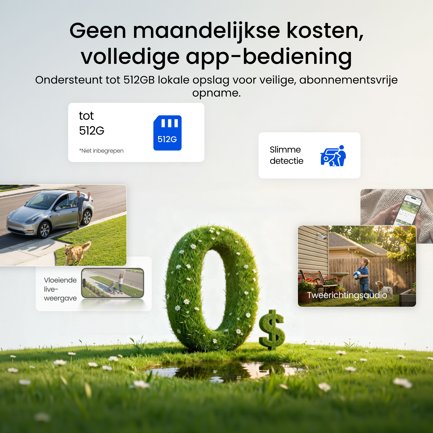 Une voiture, chien, flux en direct smartphone, carte 512Go et signe $ dans l'herbe.