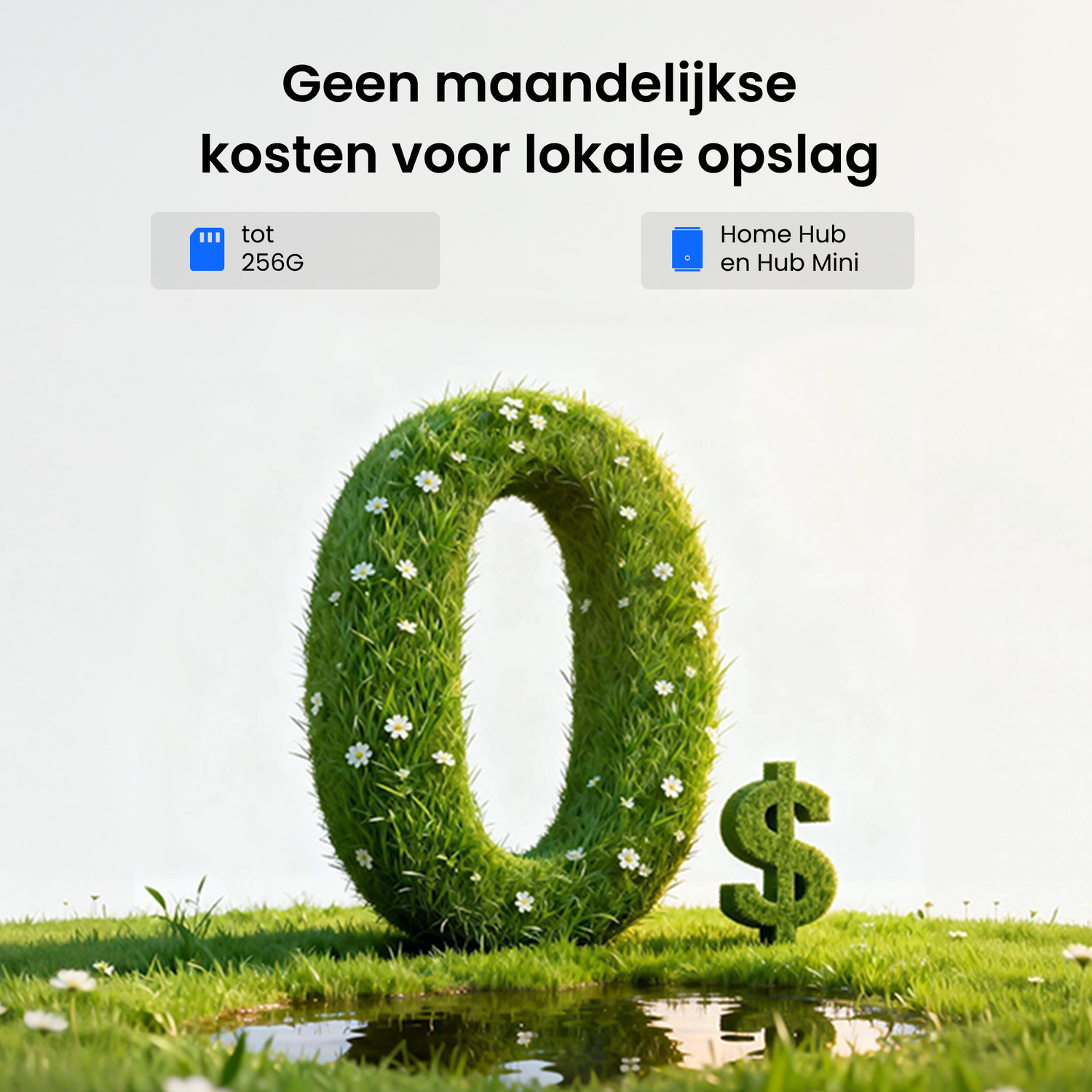 Symbole zéro vert et signe dollar dans l'herbe avec fleurs. Texte sur le stockage.