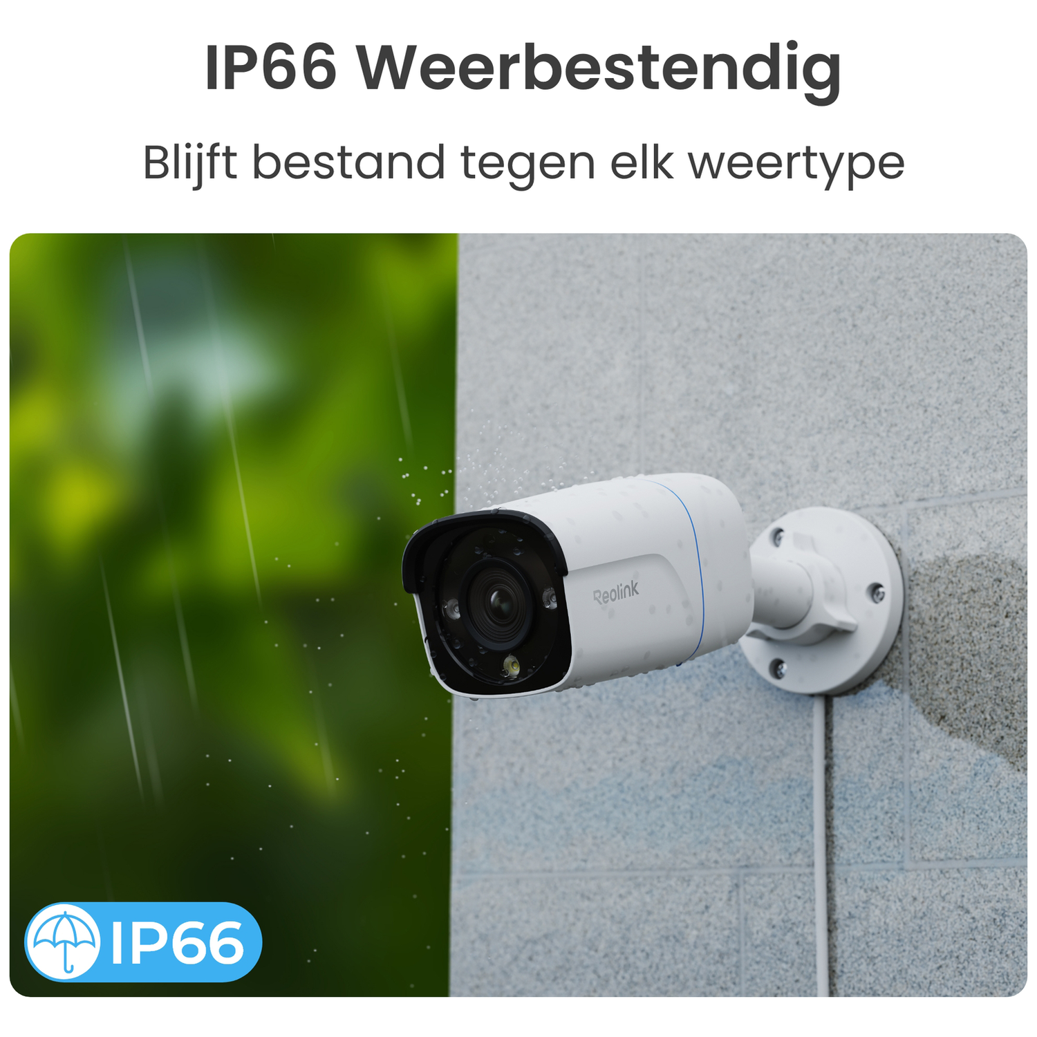Caméra Reolink blanche certifiée IP66 montée sur un mur de briques grises sous la pluie.