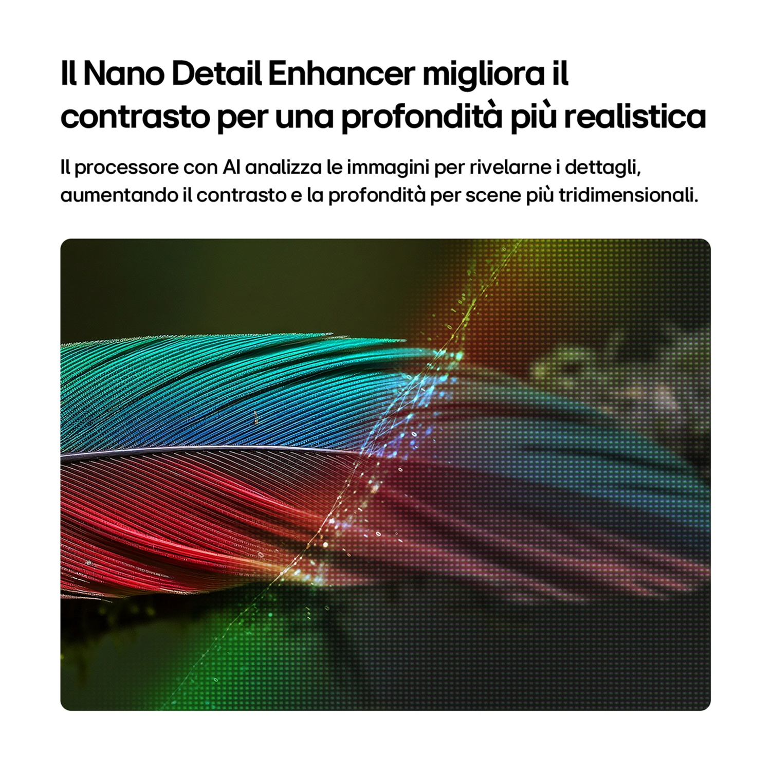 Piume rosse e blu con motivi digitali e riflessi.