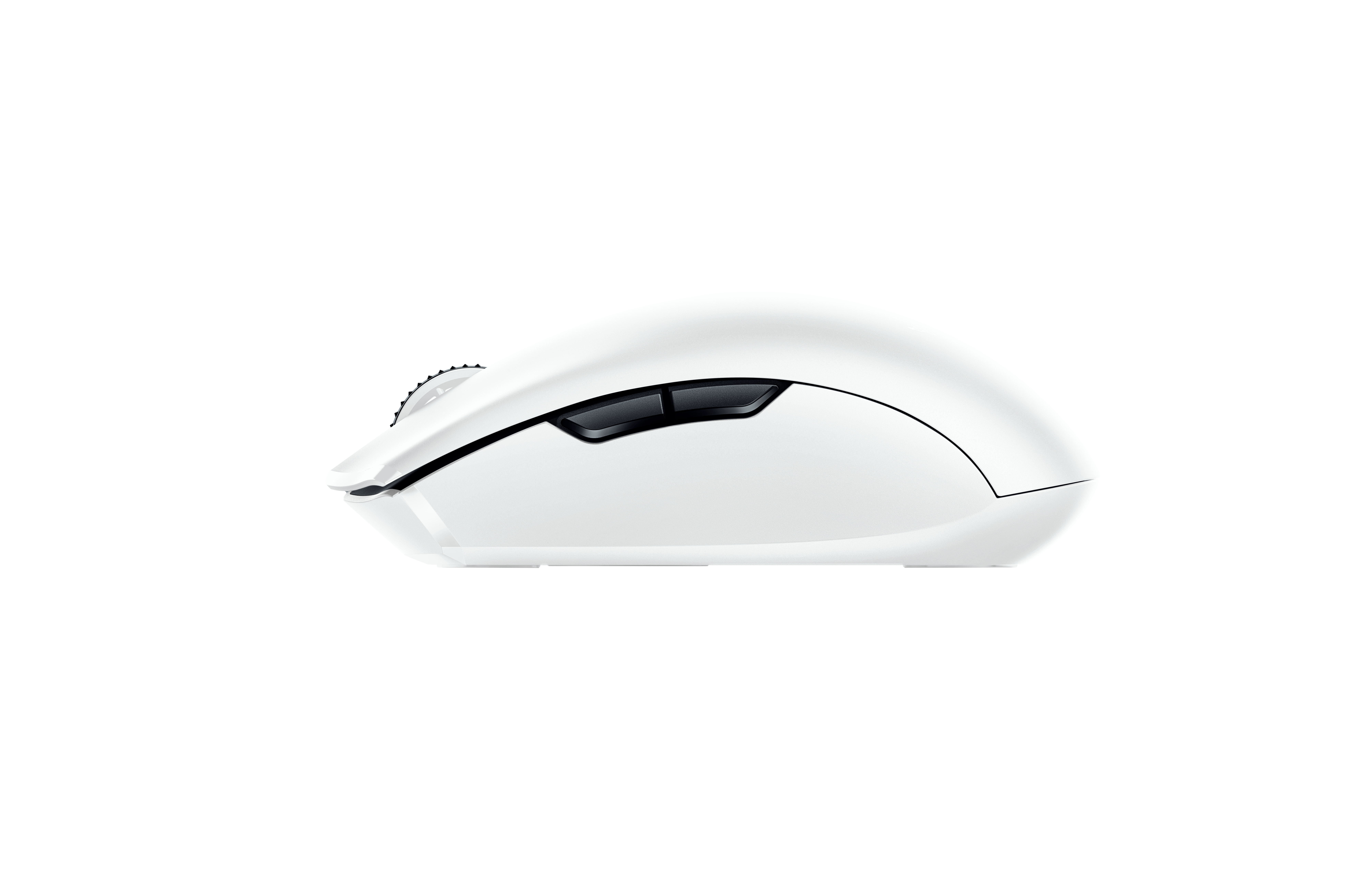 Eine weiße Computermouse mit schwarzen Tasten, von der Seite gezeigt.