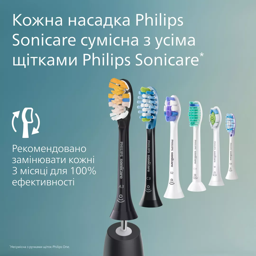 Mehrere Philips Sonicare Bürstenköpfe in verschiedenen Farben, auf einem dunklen Griff.