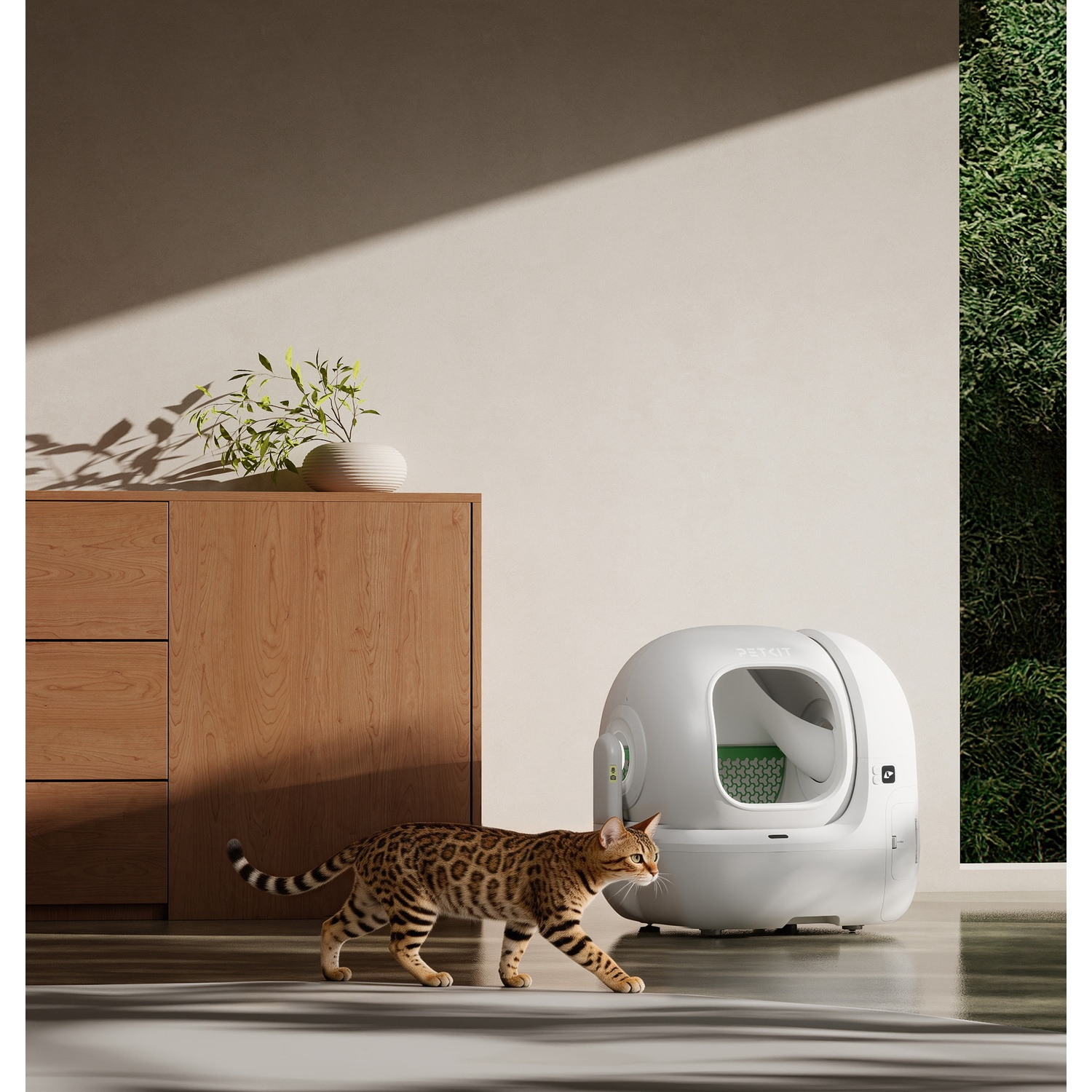 A brown spotted cat walks past a futuristic litter box next to wooden furniture.