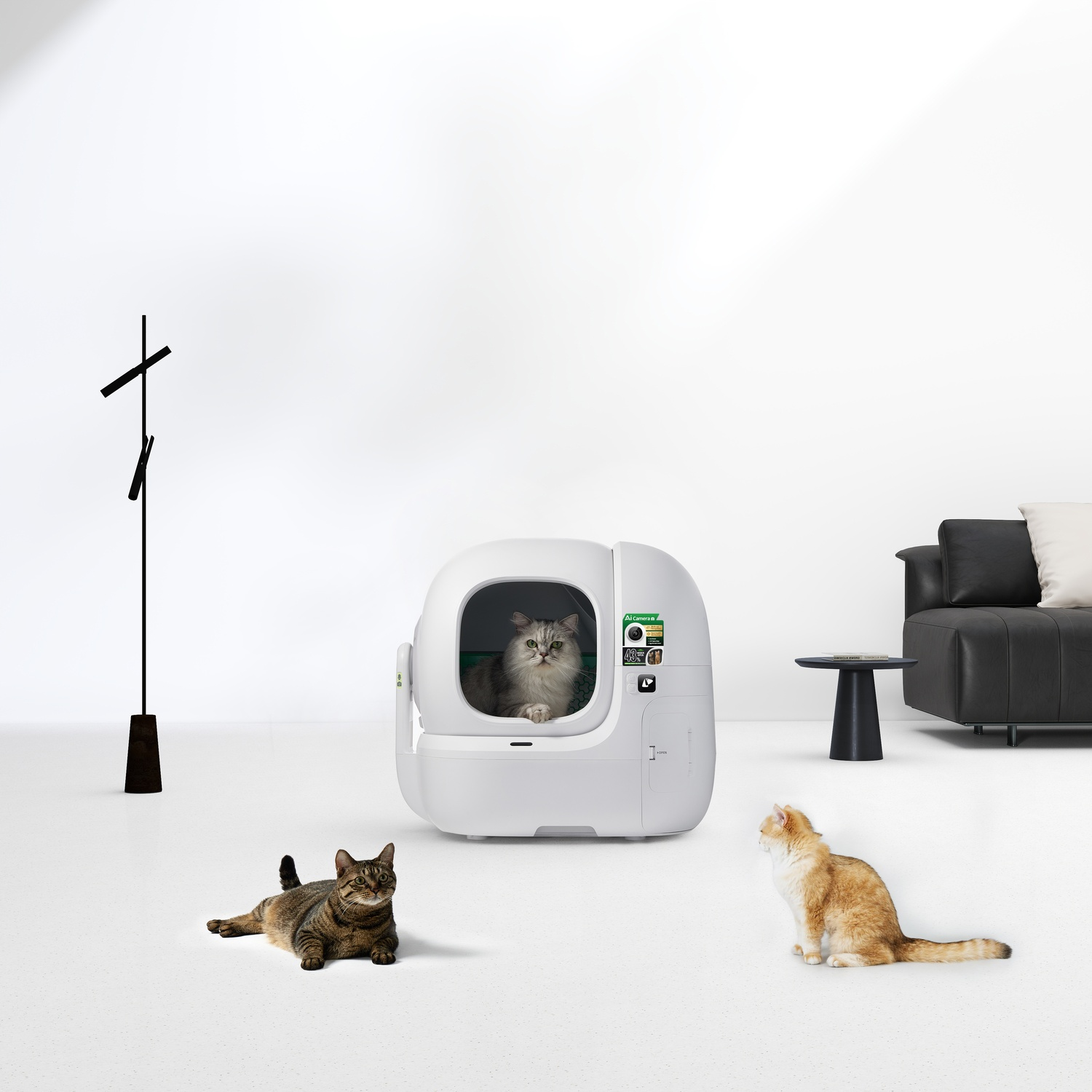 Een zilverkleurige kat zit in een witte kattenbak. Een andere kat ligt in de buurt.