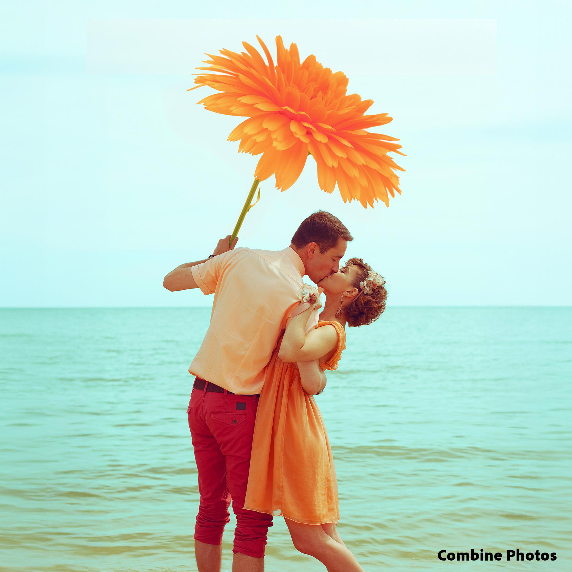 Ein Mann und eine Frau küssen sich am Strand, er hält eine große orange Blume über ihnen.