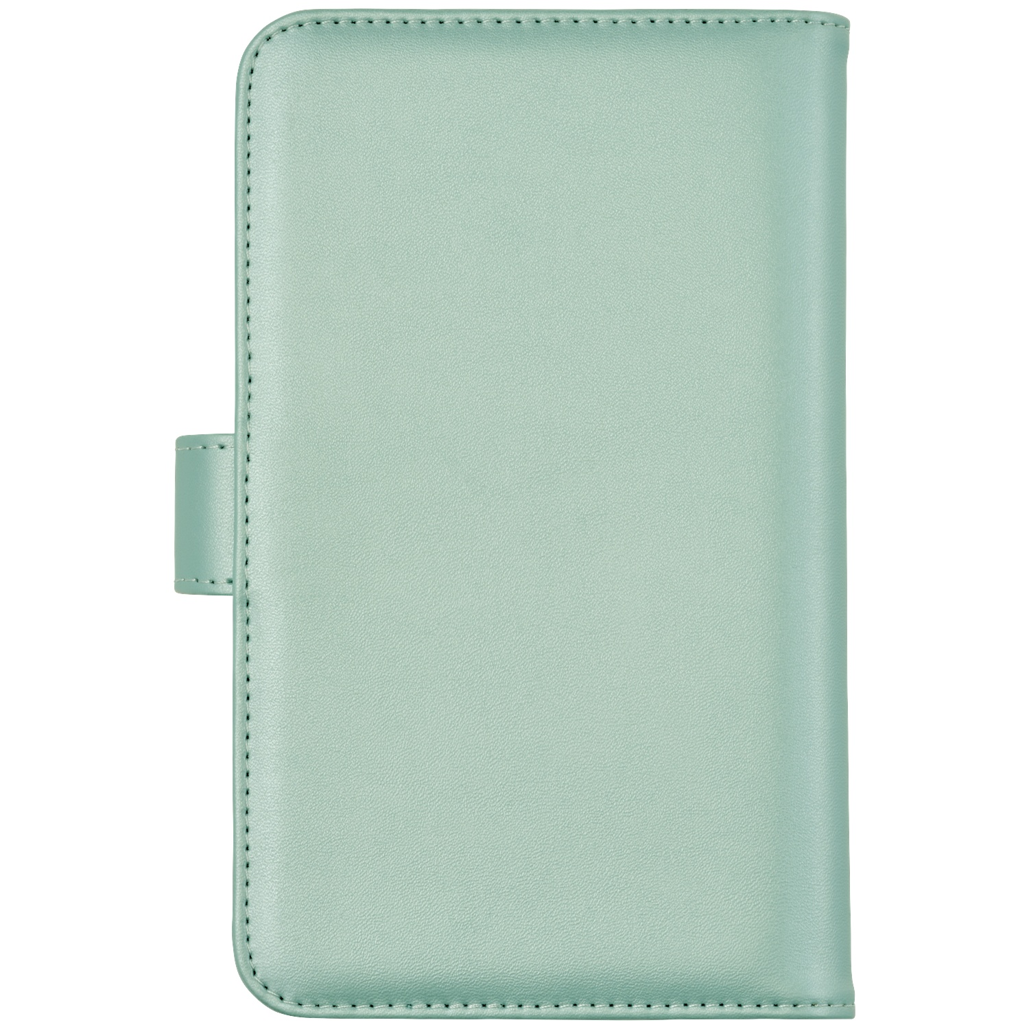 Light green book with magnetic closure, on a white background.