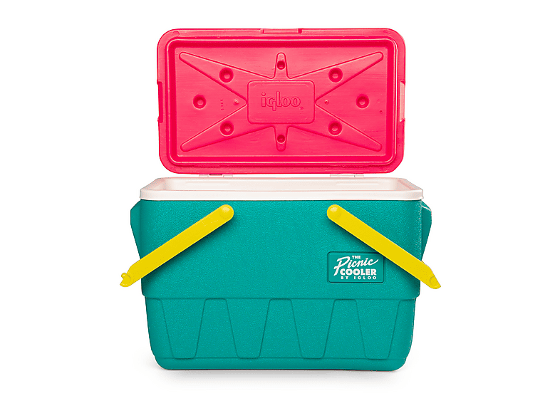 IGLOO Retro Picknick-Kühlkorb 23L Passive Kühlbox (13 l, Jade)