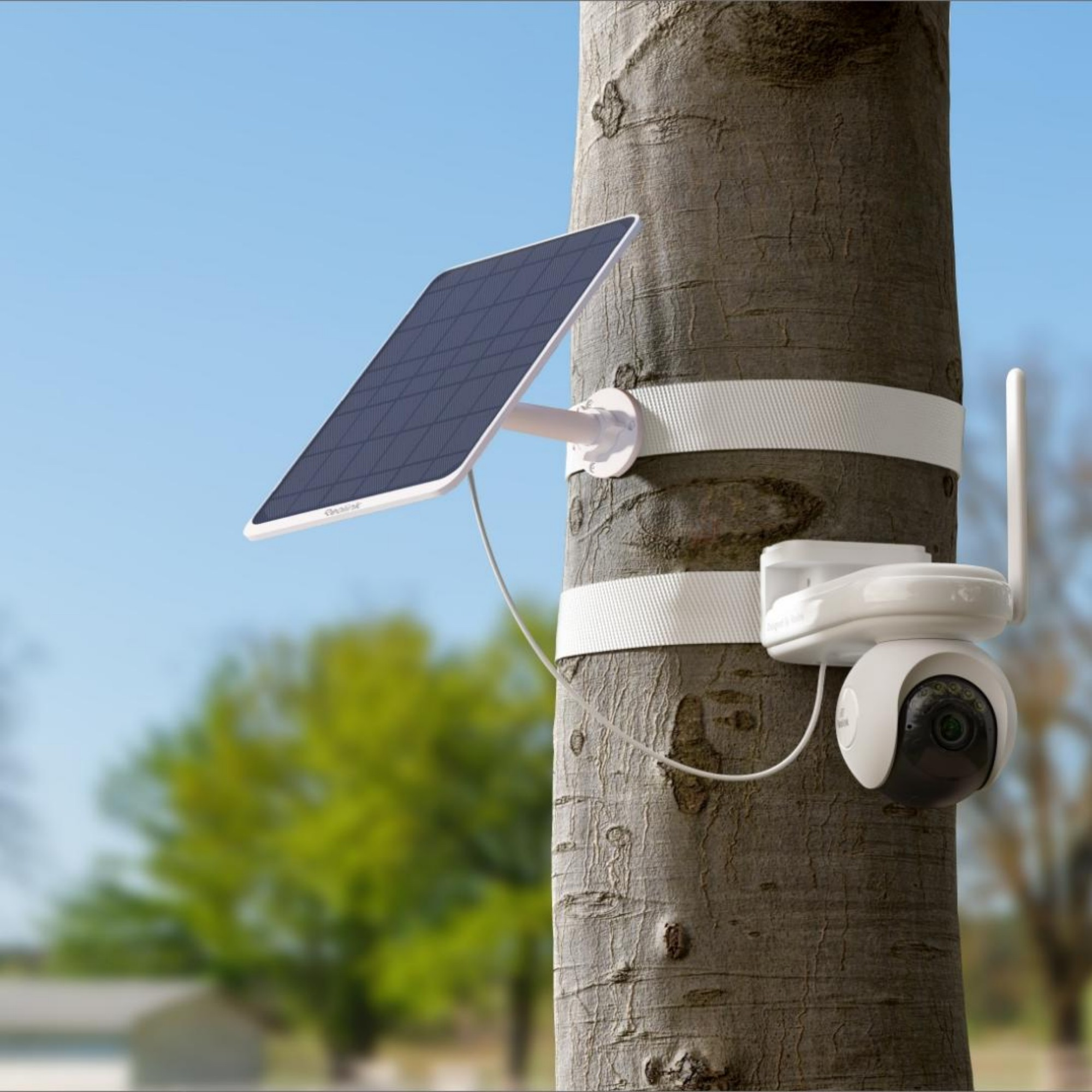 Überwachungskamera mit Solarpanel, an einem Baum befestigt, bei Tageslicht.