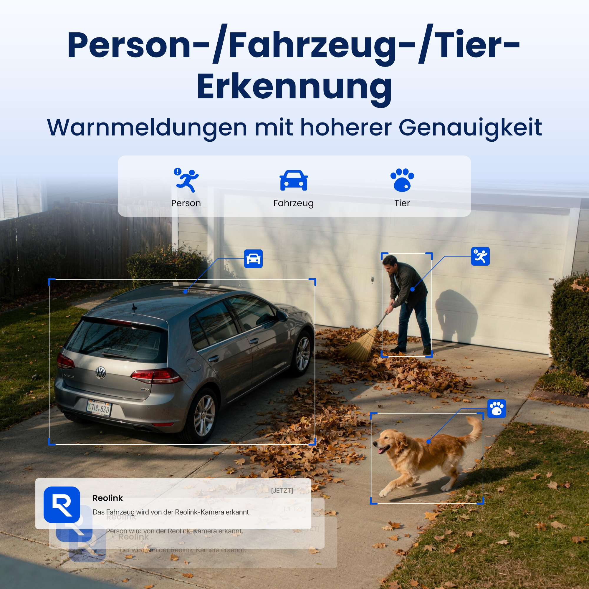 Ein Mann fegt Blätter vor einem Auto und einer Garage, ein Hund rennt auf dem Gehweg.