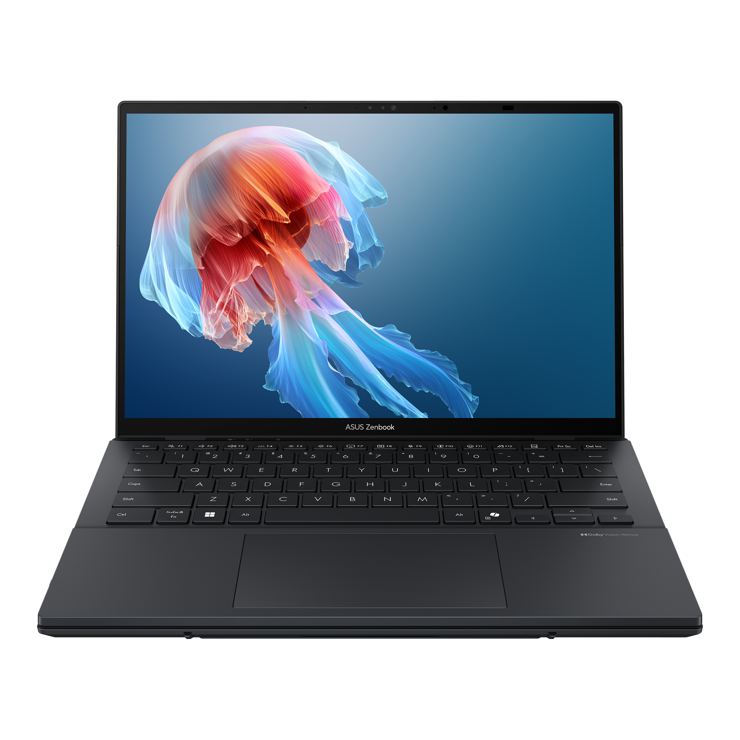 Koyu renkli bir ASUS Zenbook dizüstü bilgisayar, ekranında canlı bir denizanası duvar kağıdı gösteriyor.