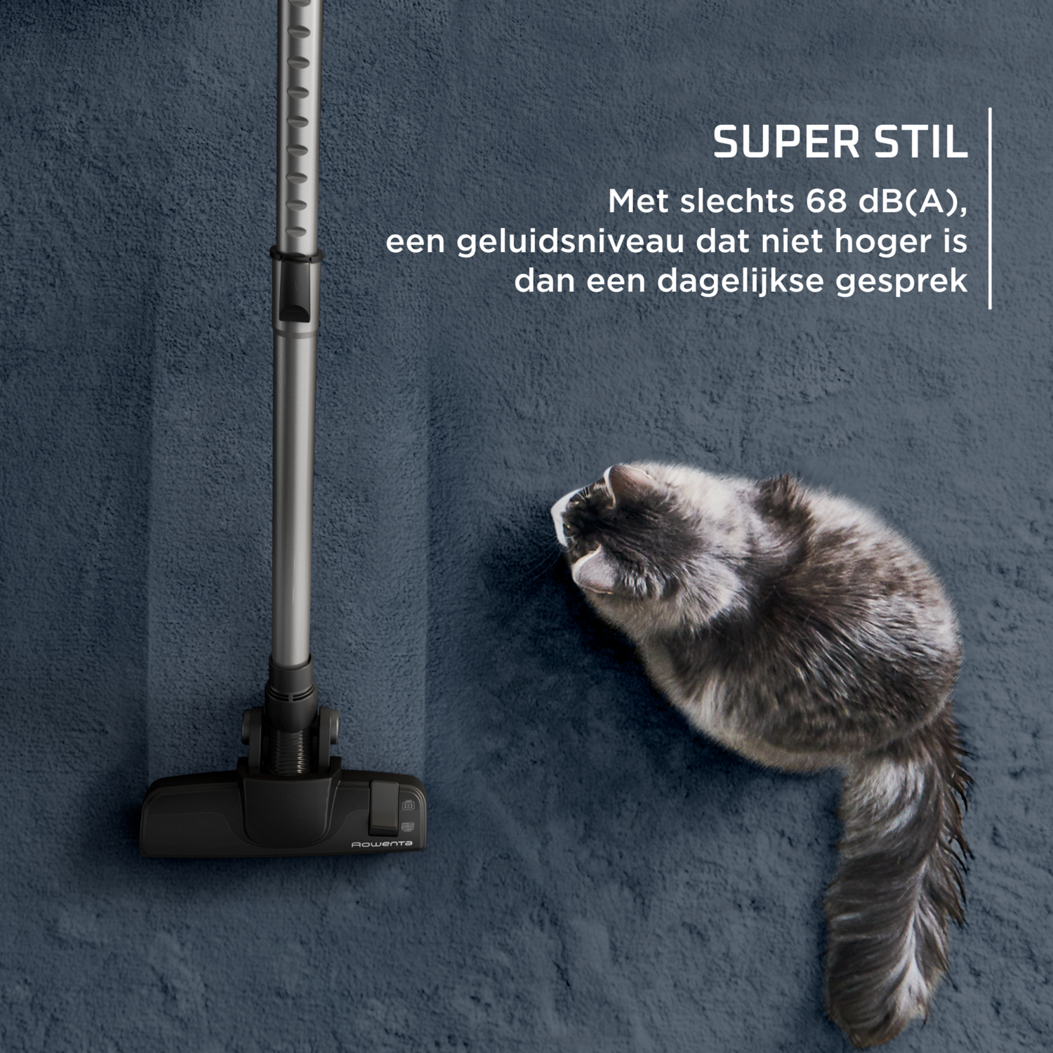 Een stofzuiger en een kat liggen op een blauw tapijt. Tekst: SUPER STIL