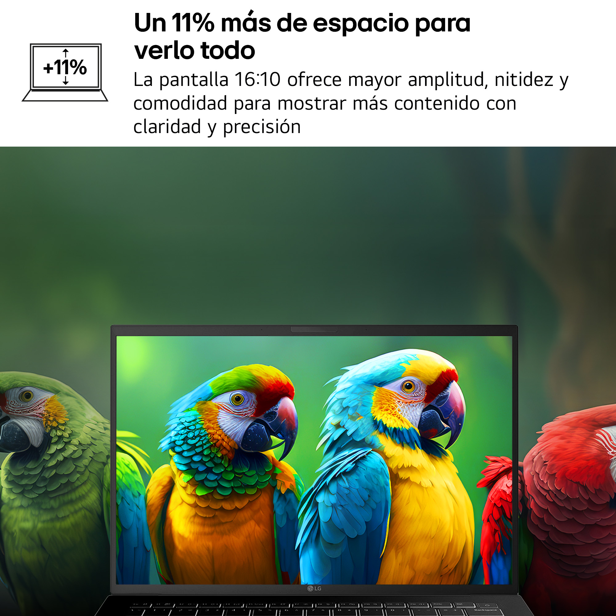 Un portátil muestra loros coloridos. Se destaca "+11% más espacio".