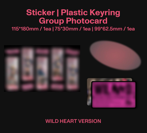 Aufkleber, Plastik Schlüsselanhänger, Gruppenfotokarten, rosa Oval auf dunklem Grund.