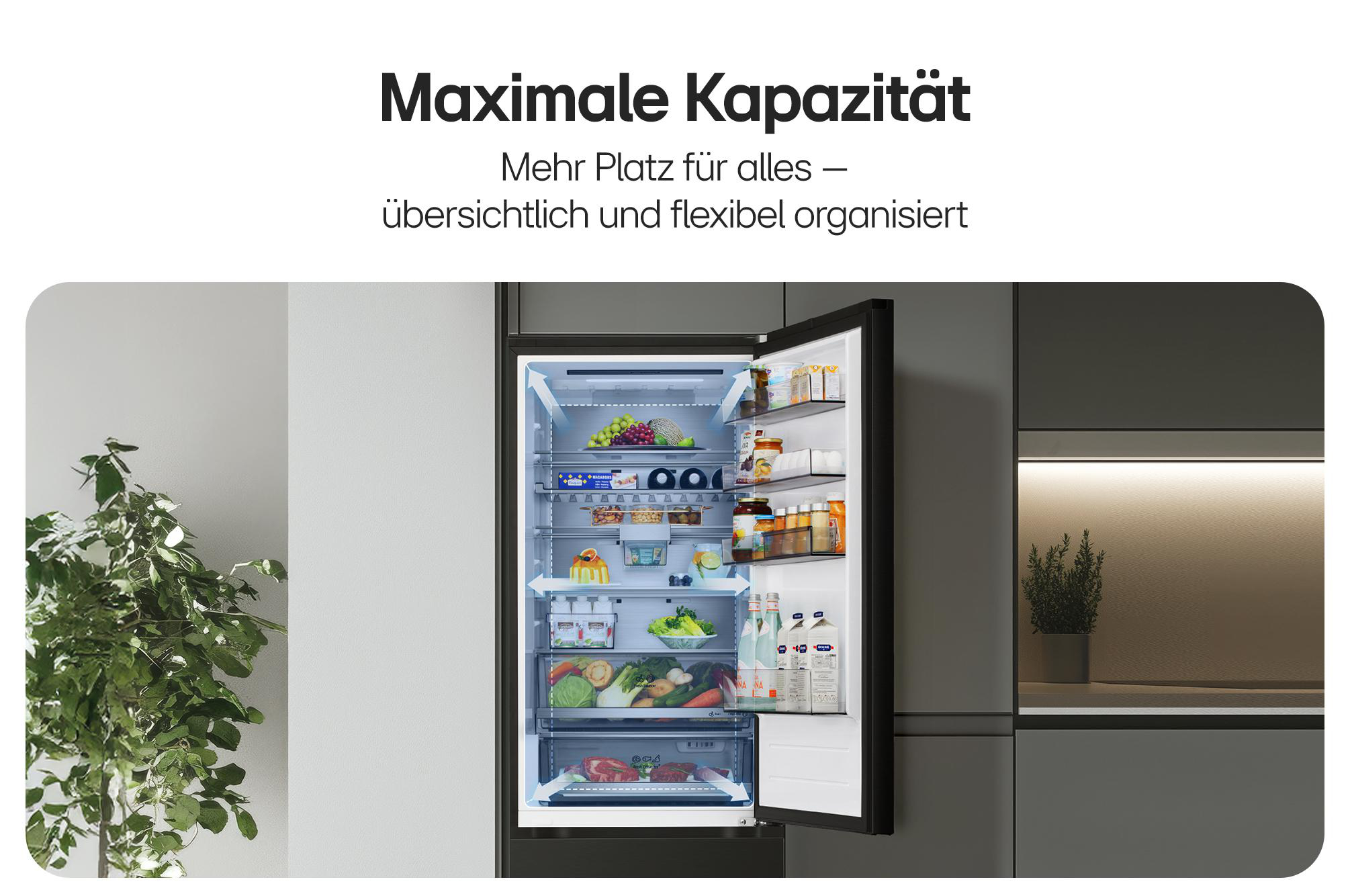 Offener Kühlschrank gefüllt mit frischen Produkten, Getränken und Lebensmitteln. Pflanze links.