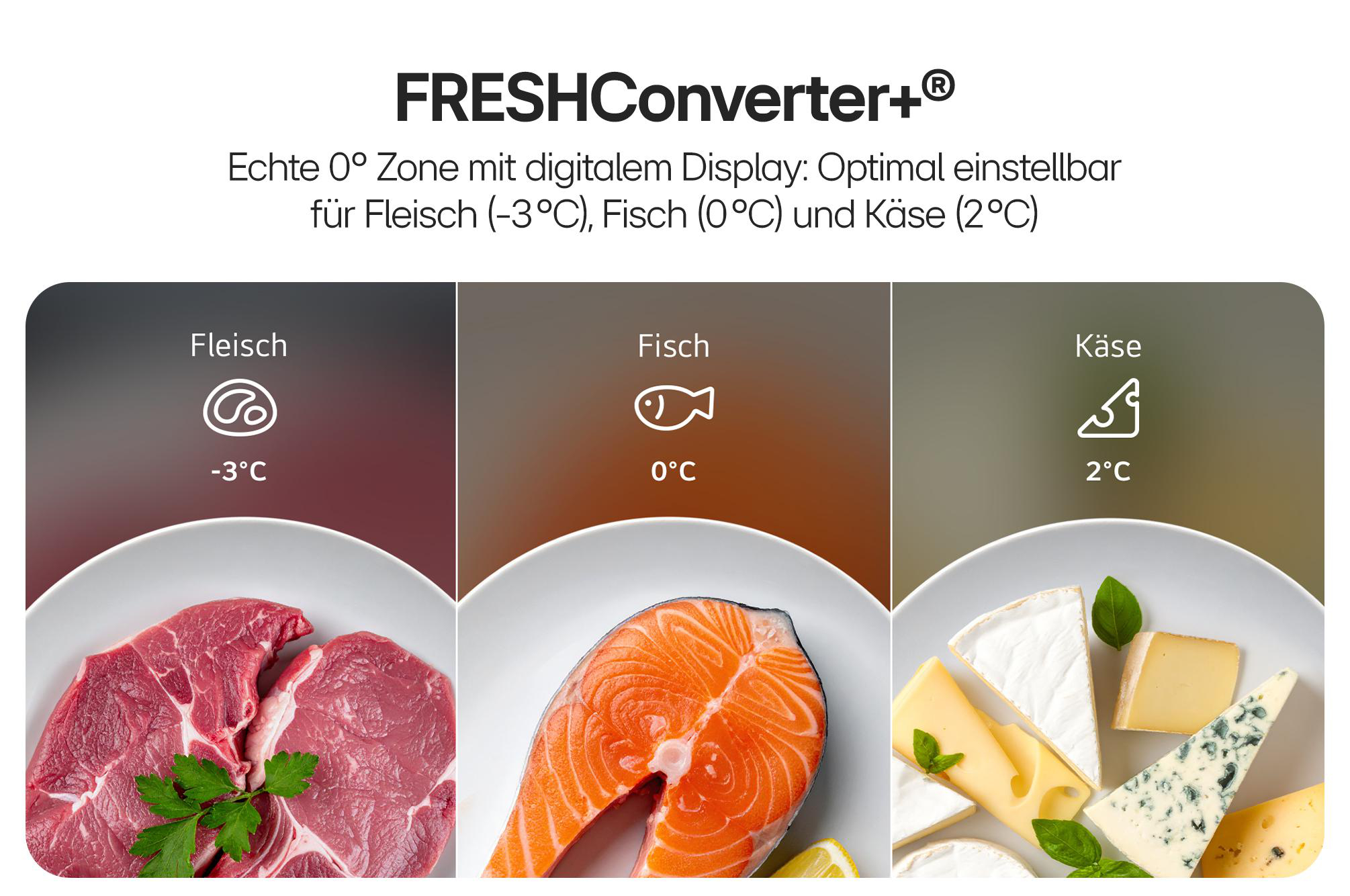 Frischhaltezonen: Fleisch (-3°C), Fisch (0°C), Käse (2°C) mit Symbolen.