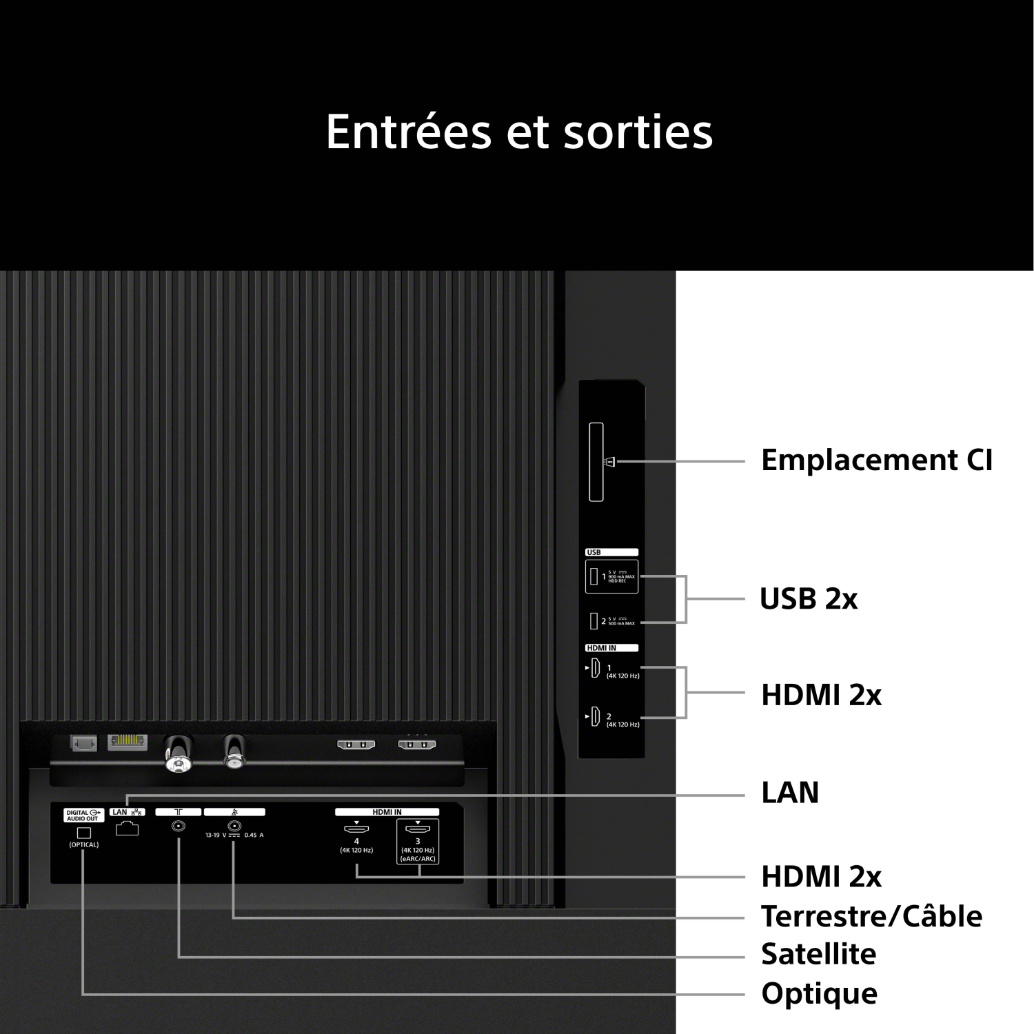 Arrière TV avec ports : USB, HDMI, LAN, Satellite, Optique, fente CI.