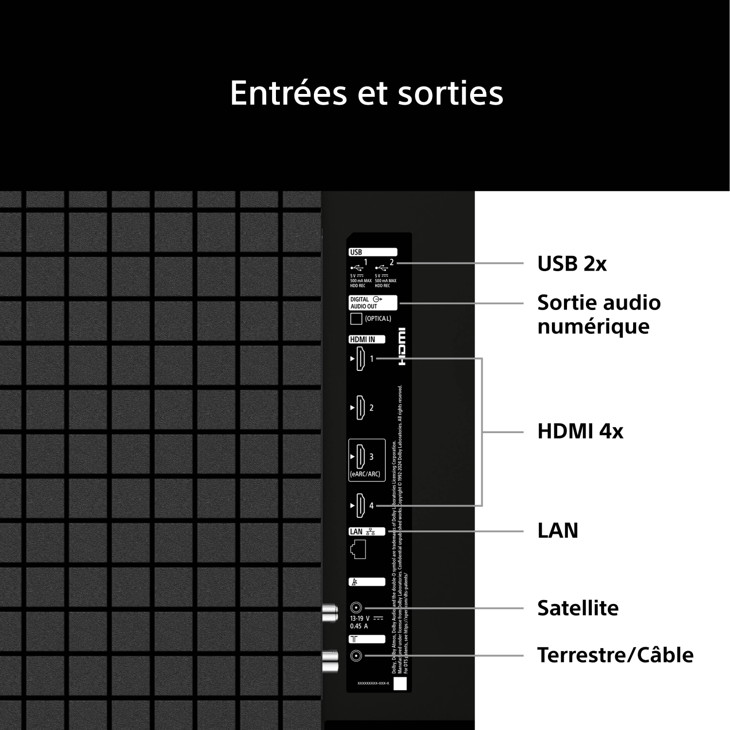 Ports du panneau arrière : USB, Sortie audio numérique, 4x HDMI, LAN, Satellite, Terrestre/Câble.