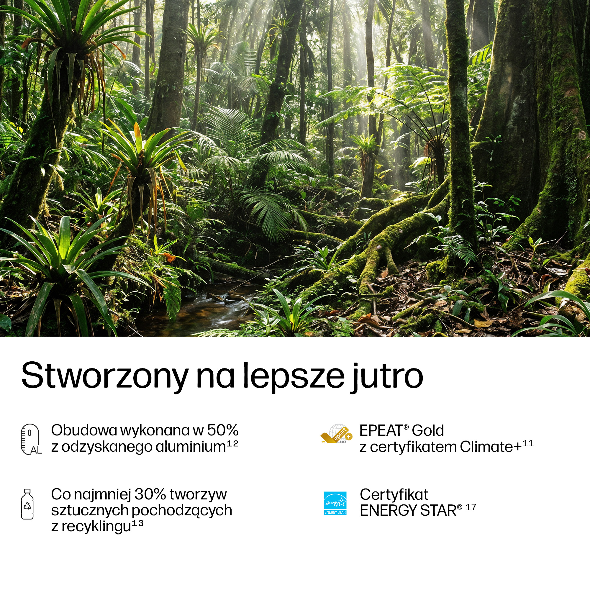 Bujna dżungla z promieniami słońca przesączającymi się przez drzewa.