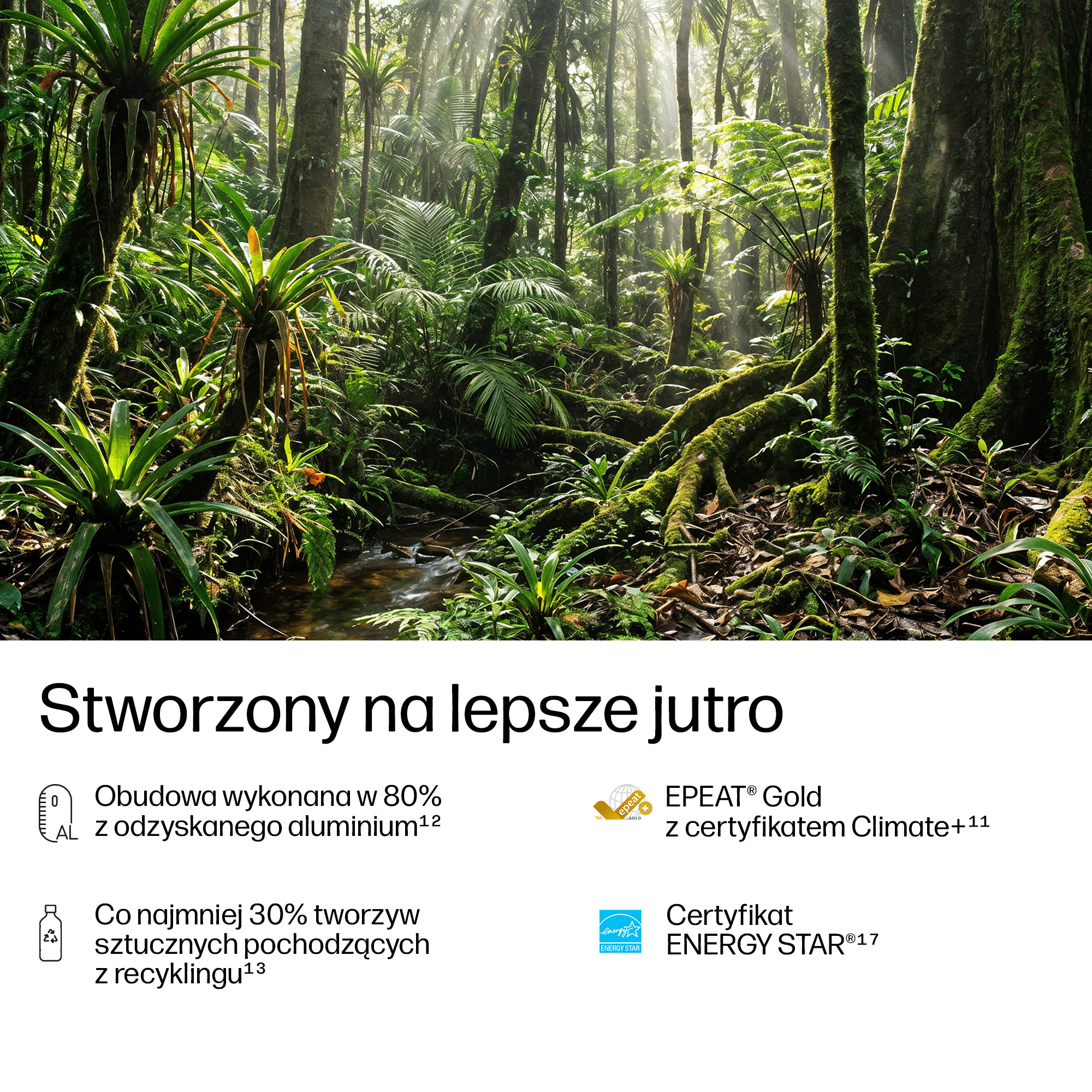 Promienie słońca przenikają bujną dżunglę z paprociami i mchem.